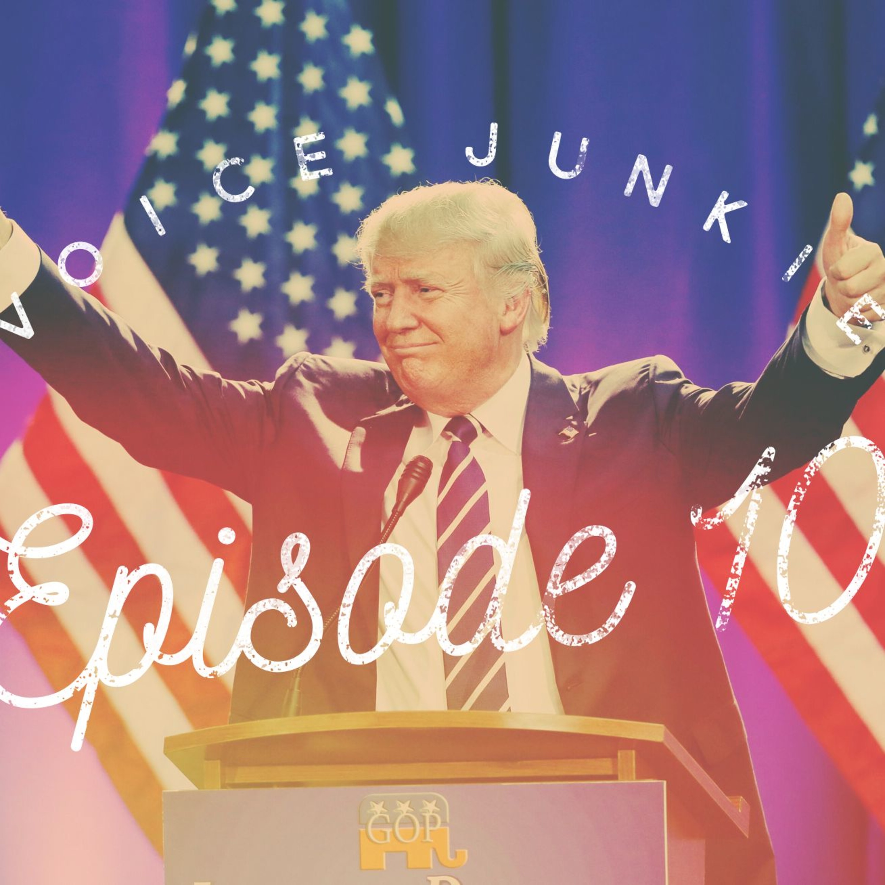 Voice Junkie