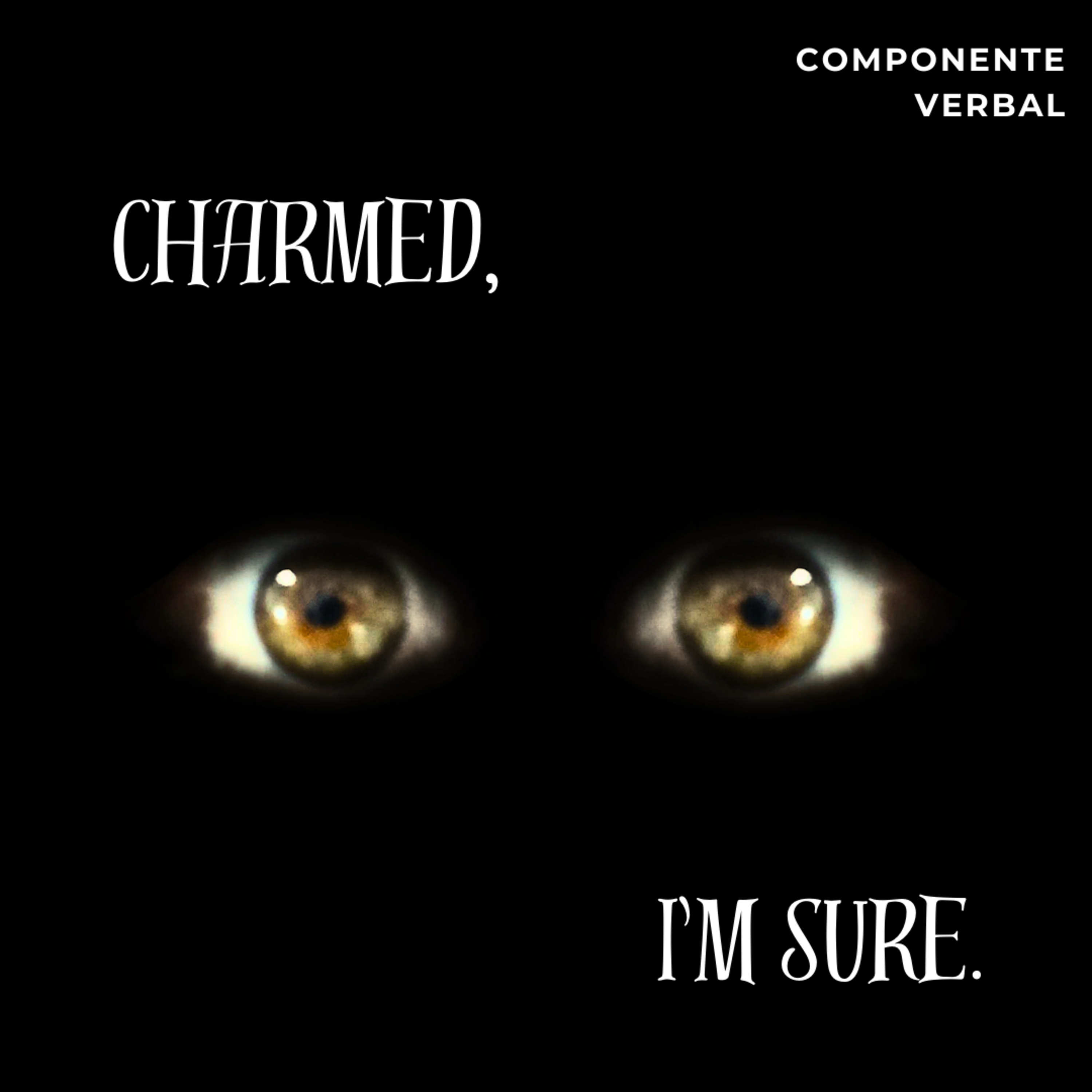 Componente Verbal