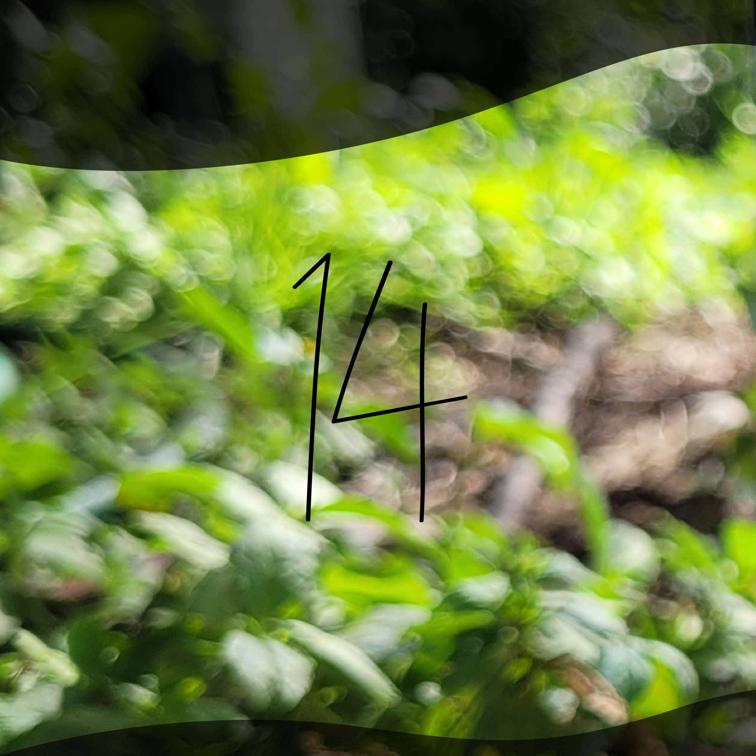 14 - Toxicidad episode artwork