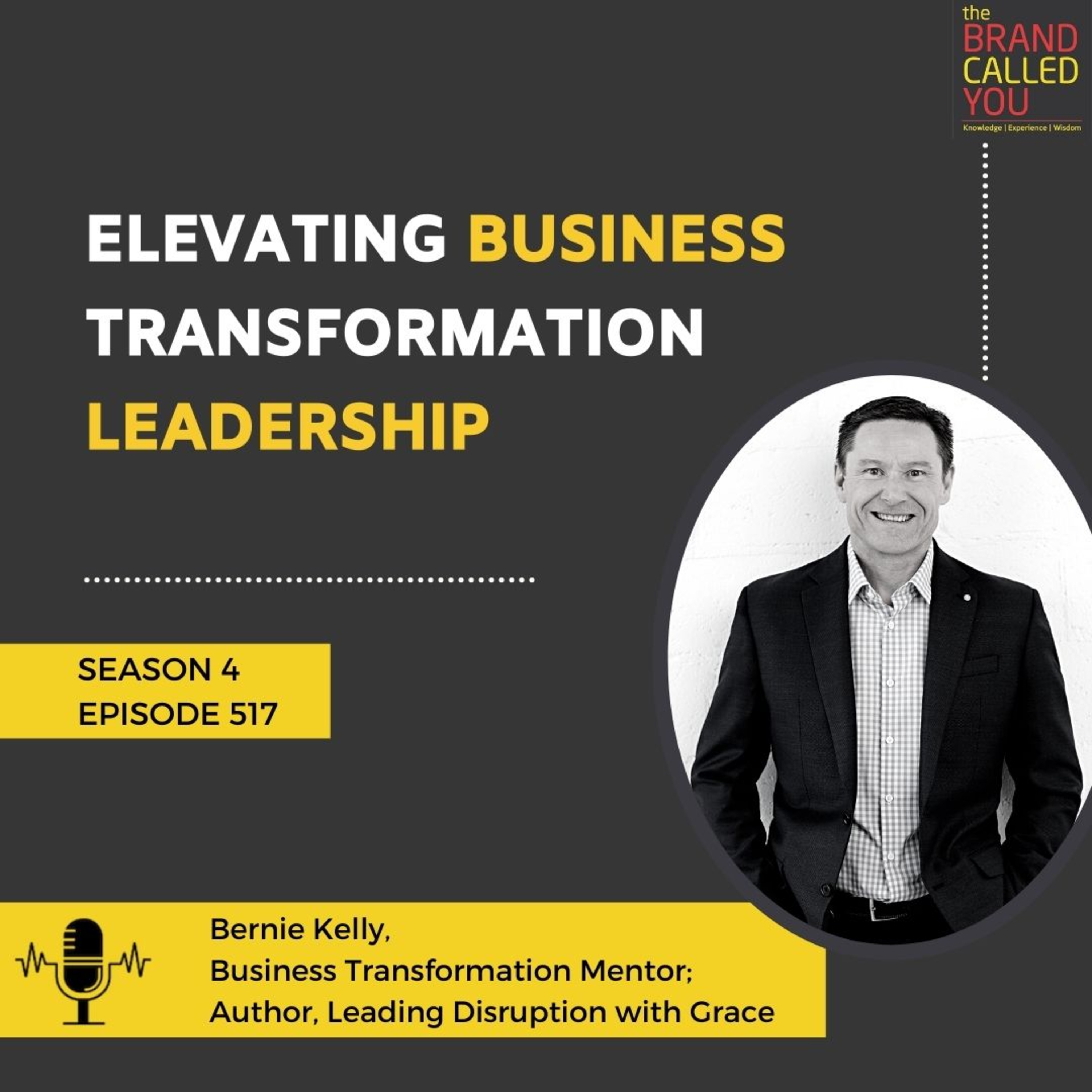 Elevating business transformation leadership | Bernie Kelly | Business Transformation Mentor | Author | Leading Disruption with Grace |