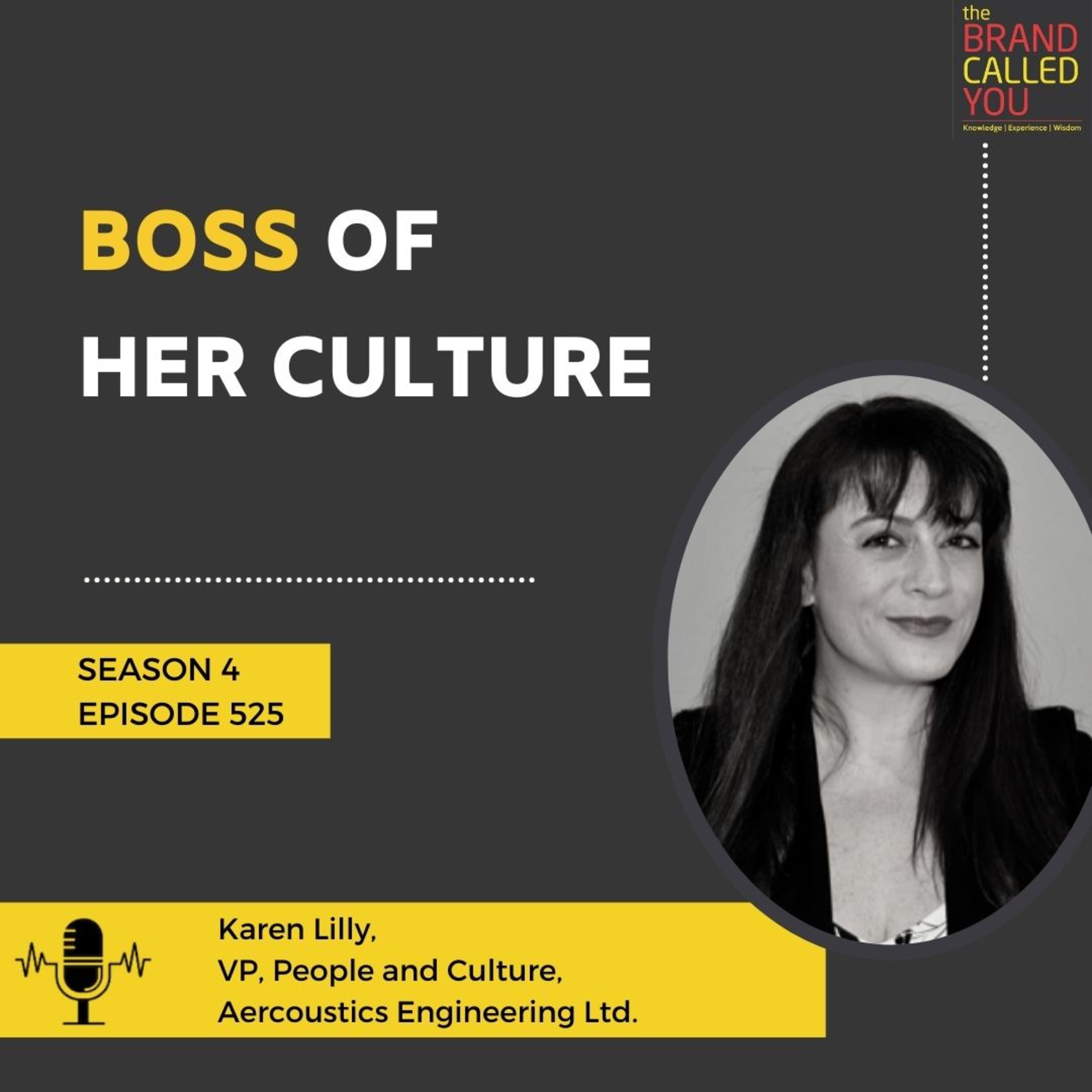 Boss of her culture | Karen Lilly | VP | People and Culture | Aercoustics Engineering Ltd |