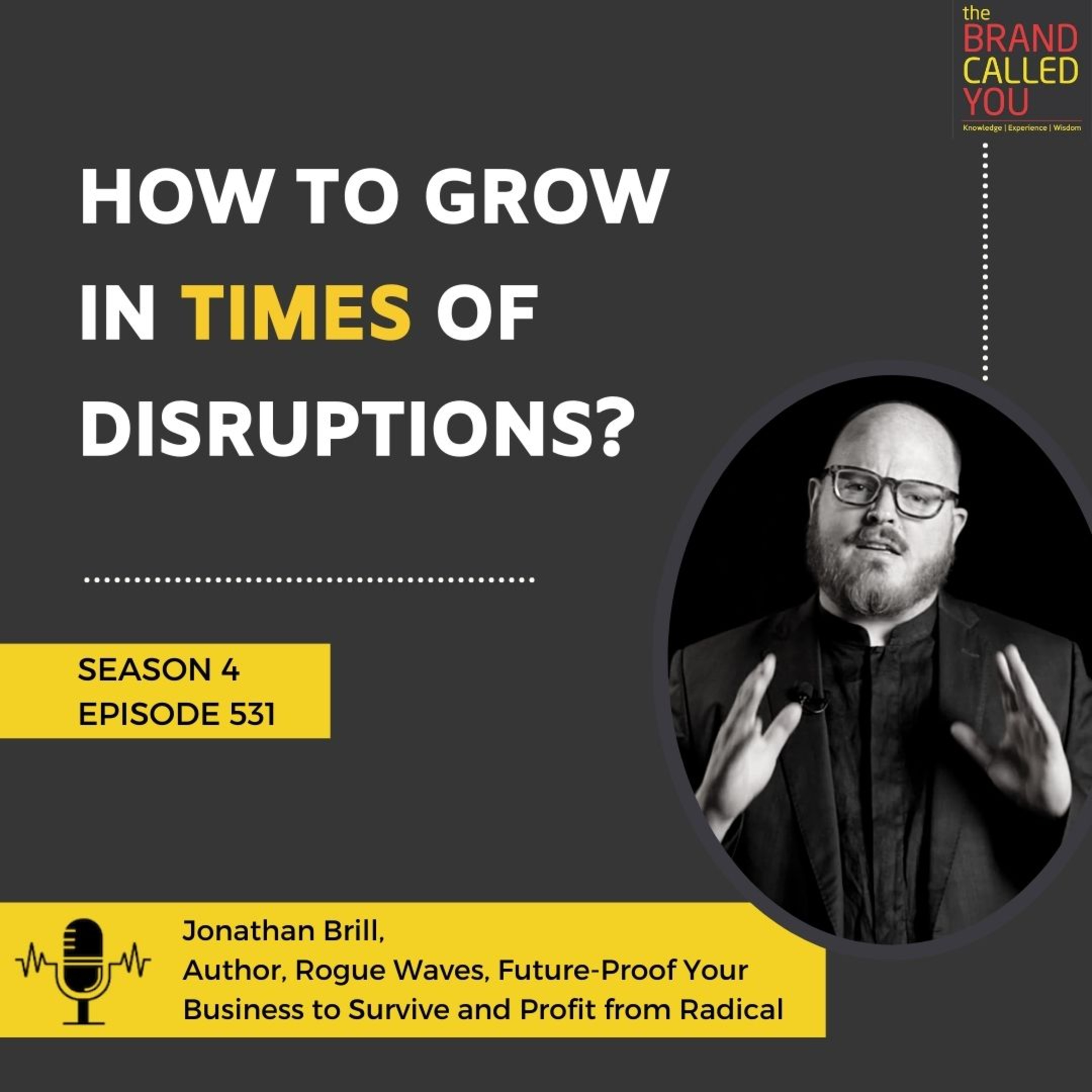 How To Grow In Times of Disruptions? | Jonathan Brill | Author, Rogue Waves, Future-Proof Your Business to Survive and Profit from Radical