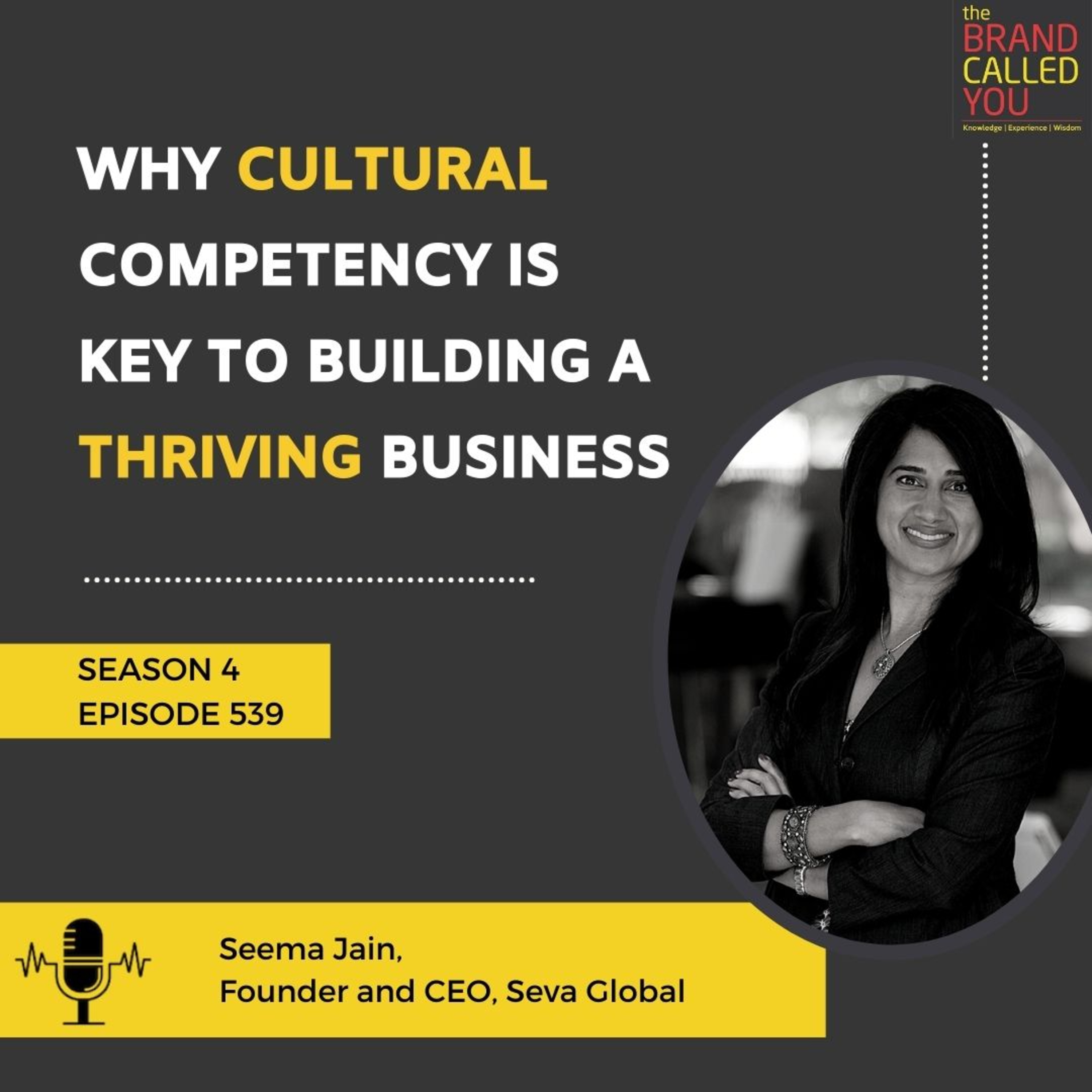 Why Cultural Competency is Key to Building a Thriving Business | Seema Jain, Founder, and CEO, Seva Global