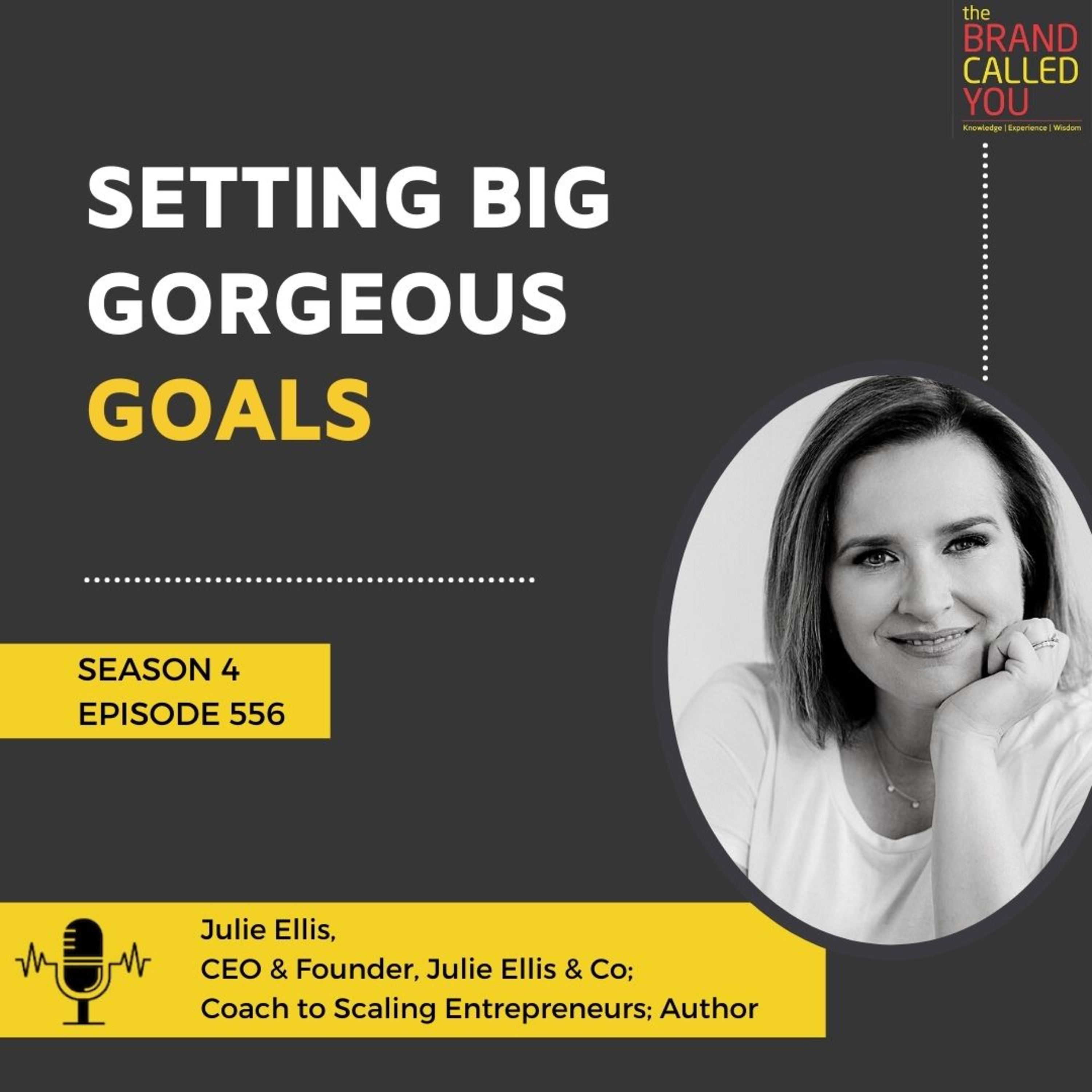 Setting big gorgeous goals | Julie Ellis | CEO & Founder | J ulie Ellis & Co | Coach to Scaling Entrepreneurs | Author |