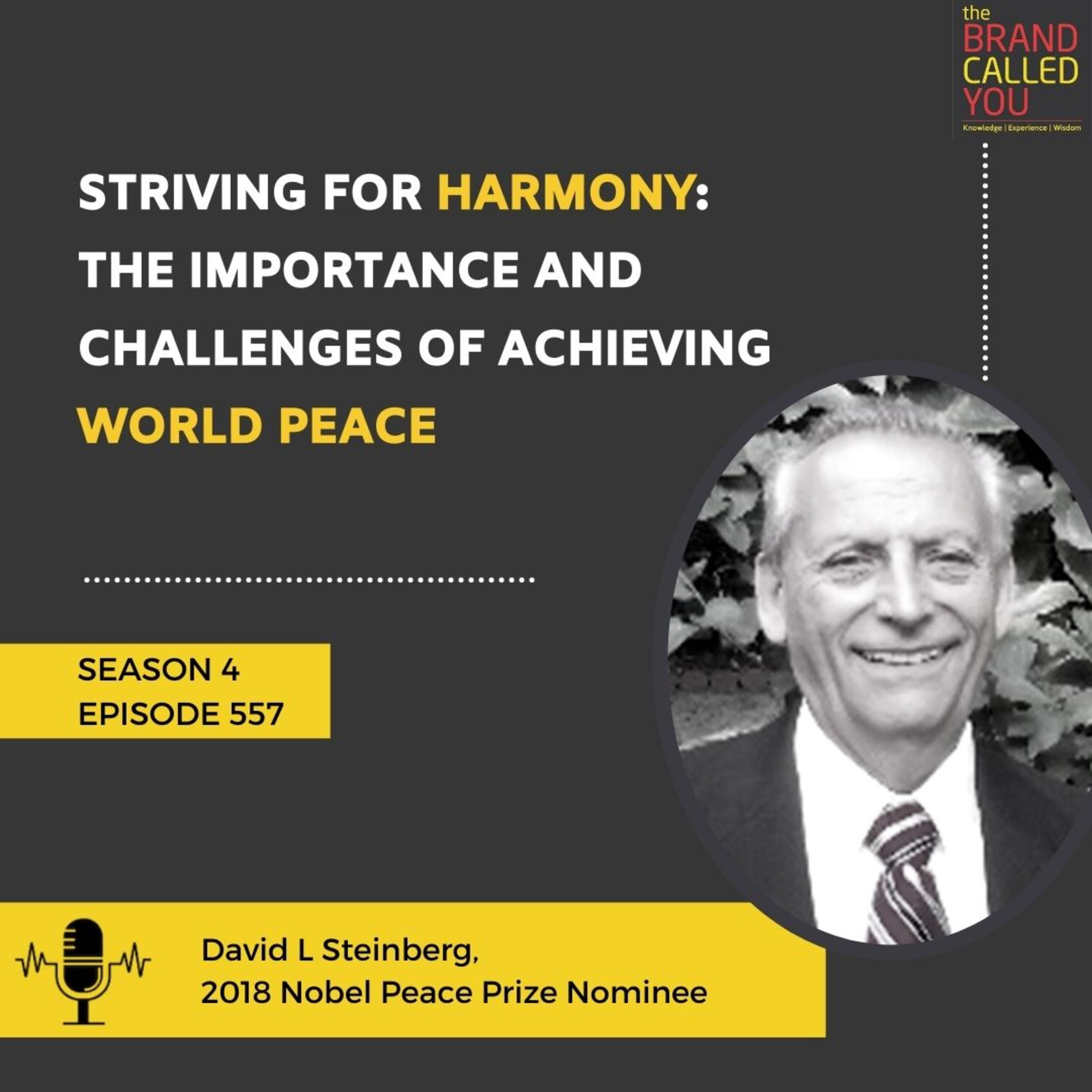 Striving for Harmony: The Importance and Challenges of Achieving World Peace | David L Steinberg, 2018 Nobel Peace Prize Nominee