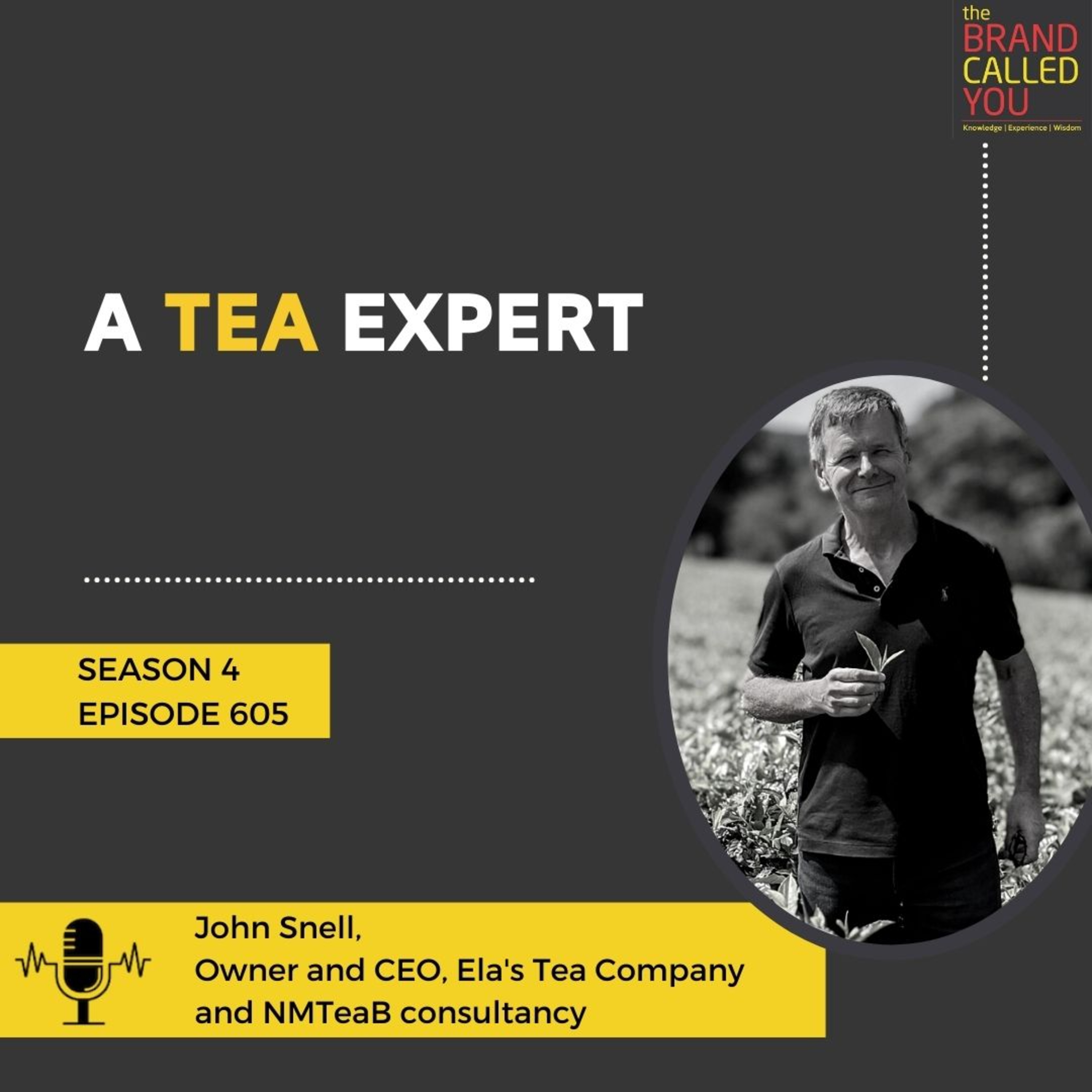 A Tea Expert | John Snell | Owner and CEO | Ela's Tea Company and NMTeaB consultancy |