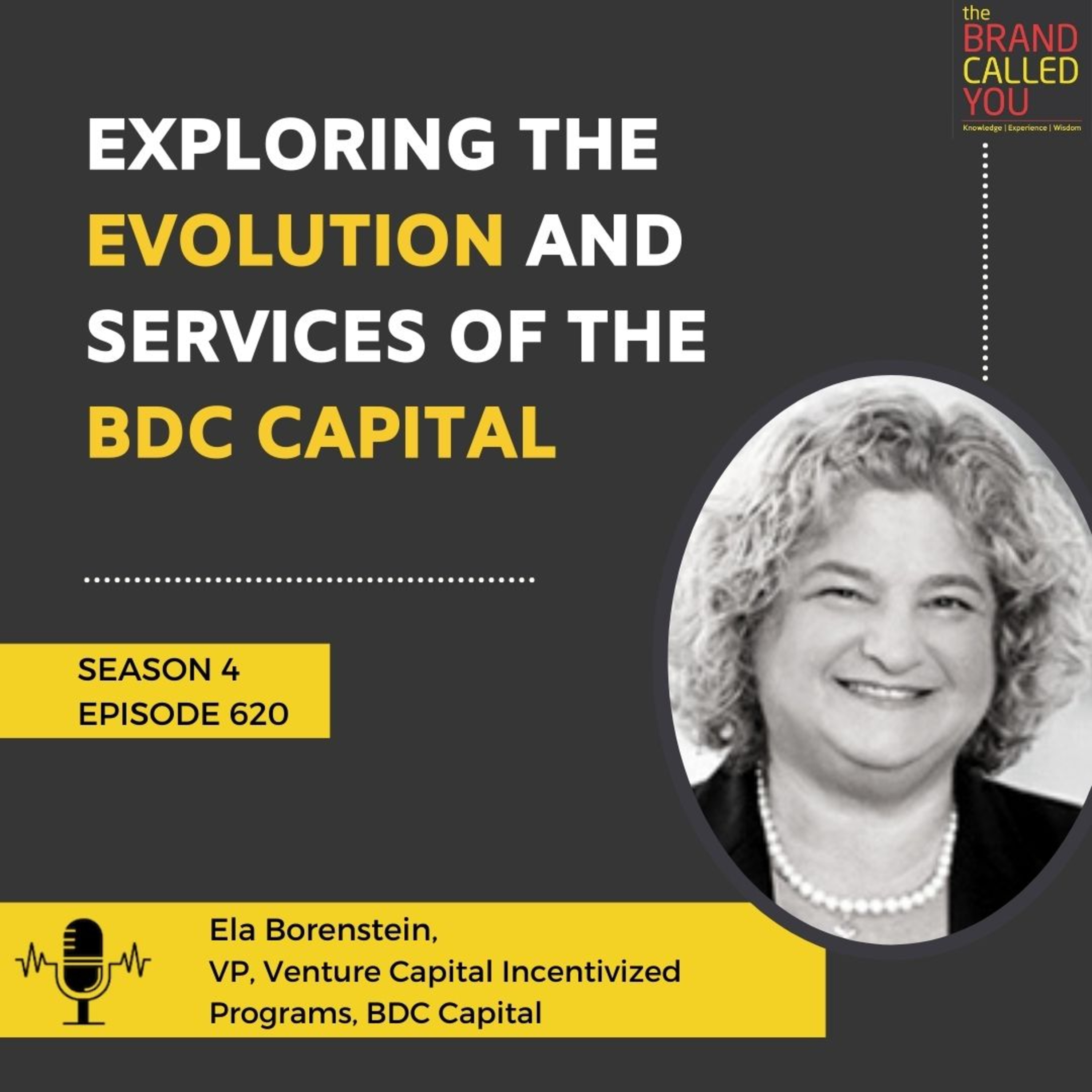 Exploring the Evolution and Services of the BDC Capital | Ela Borenstein, VP, Venture Capital Incentivized Programs, BDC Capital
