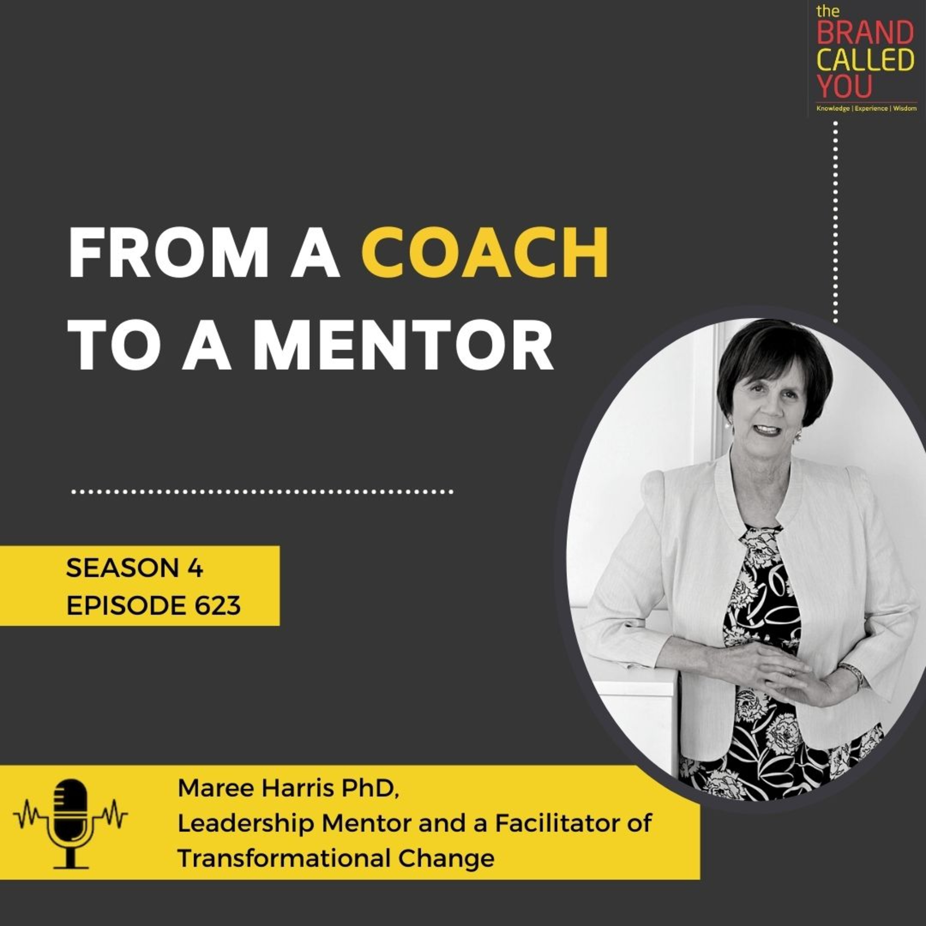 From a Coach to a Mentor | Maree Harris PhD | Leadership Mentor and a Facilitator of Transformational Change |