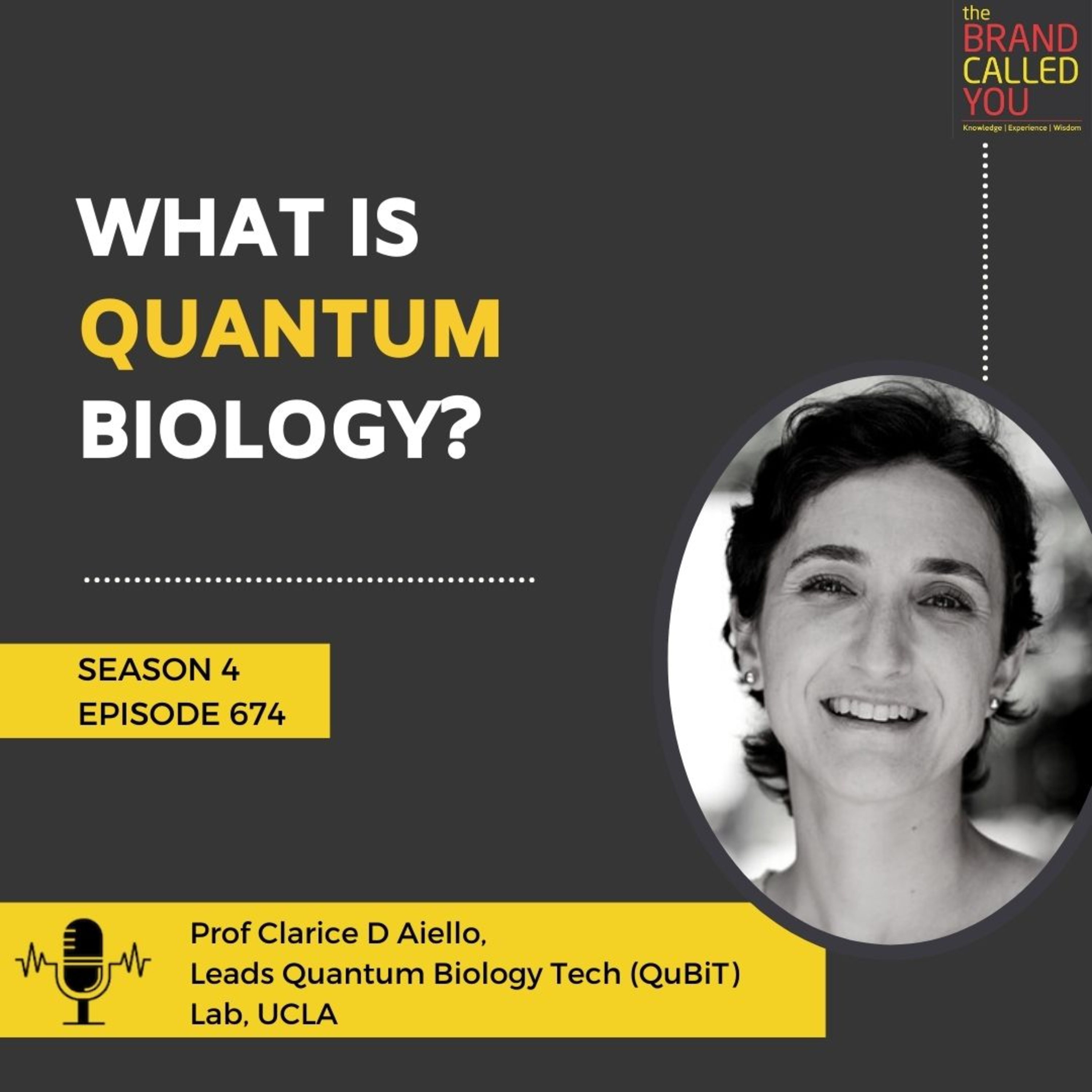 What is Quantum Biology? | Prof. Clarice D Aiello | Leads Quantum Biology Tech (QuBiT) Lab, UCLA