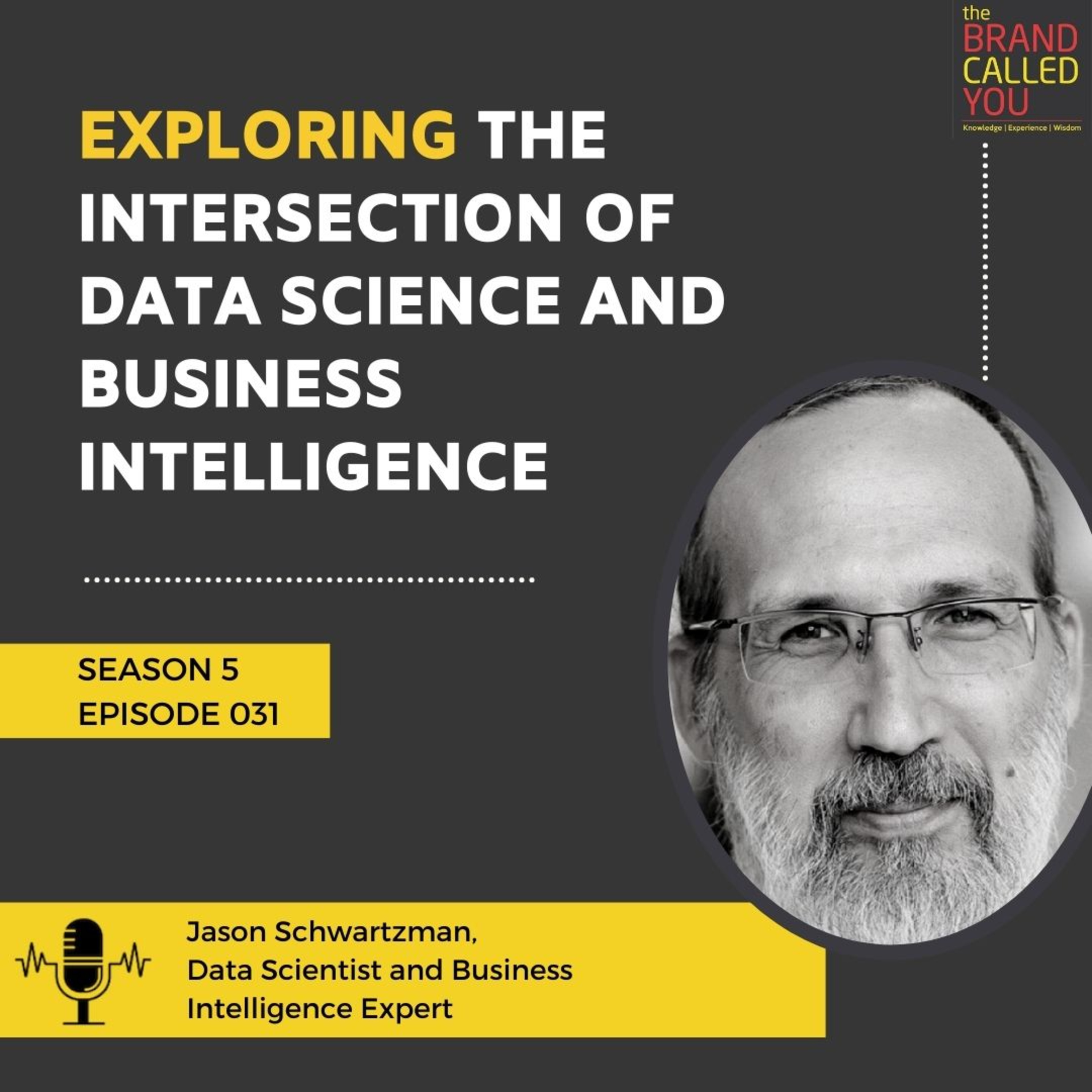 Exploring the Intersection of Data Science and Business Intelligence | Jason Schwartzman | Data Scientist and Business Intelligence Expert