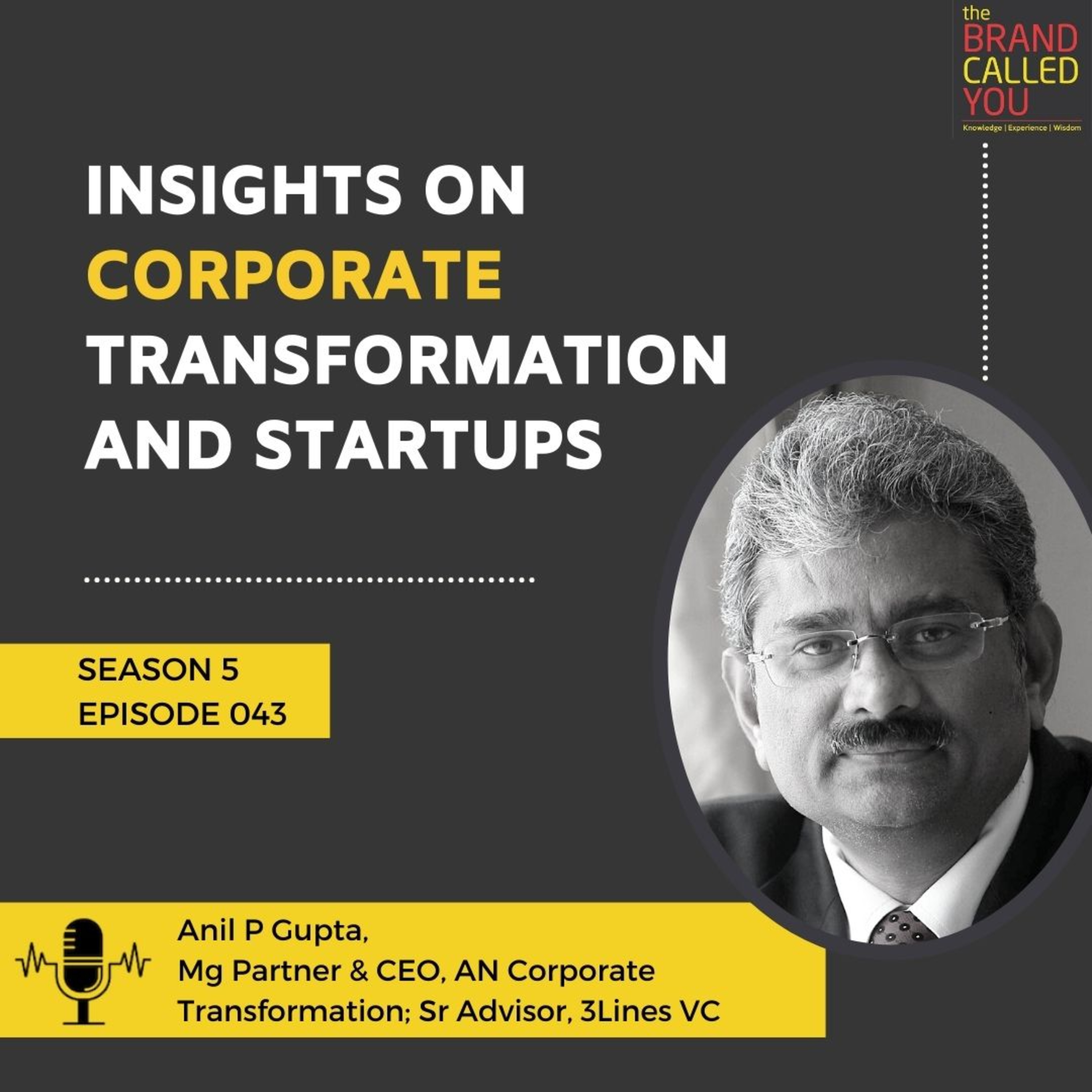 Insights on Corporate Transformation and Startups | Anil P Gupta | Mg Partner & CEO, AN Corporate Transformation; Sr Advisor, 3Lines VC
