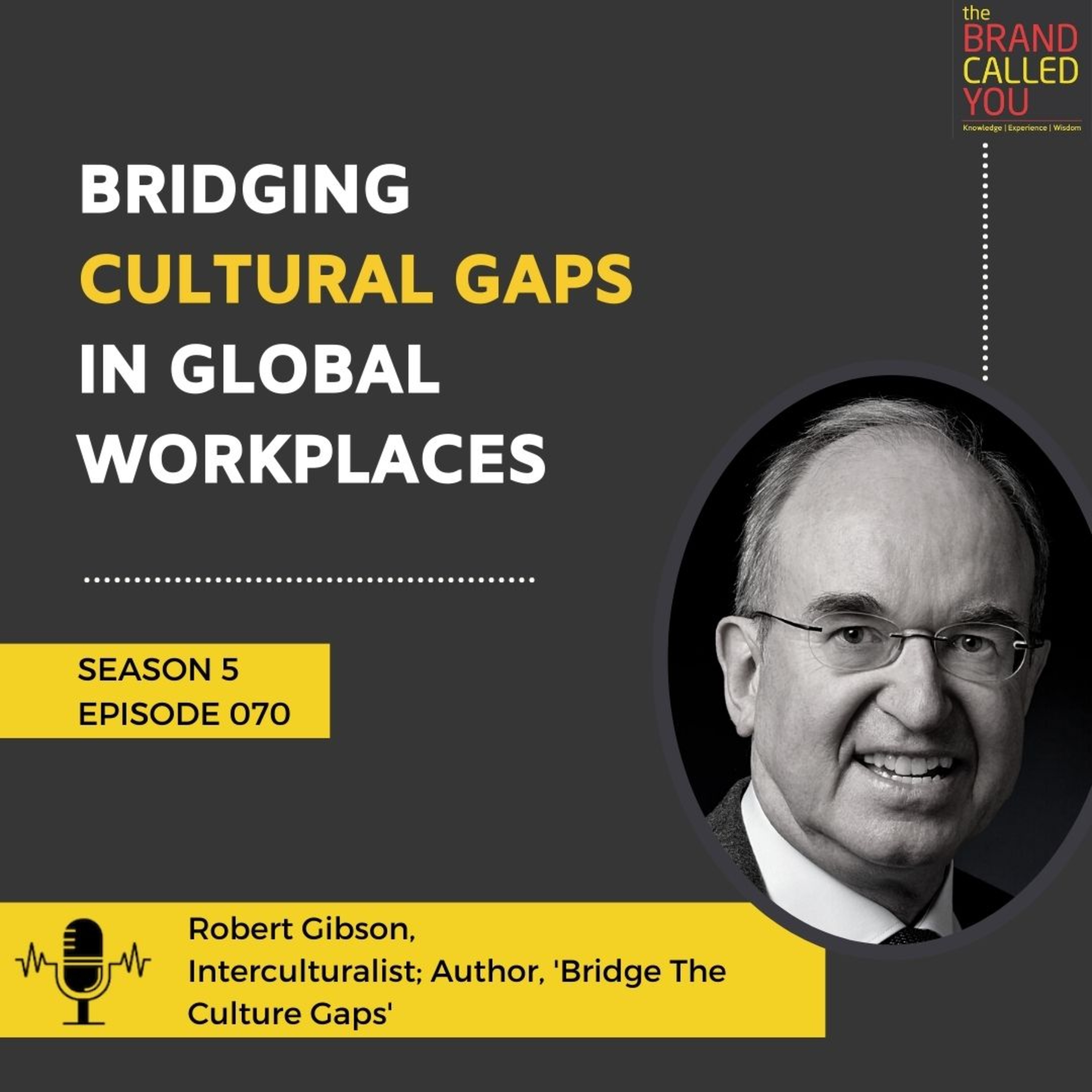 Bridging Cultural Gaps in Global Workplaces | Robert Gibson | Interculturalist; Author, 'Bridge The Culture Gaps'