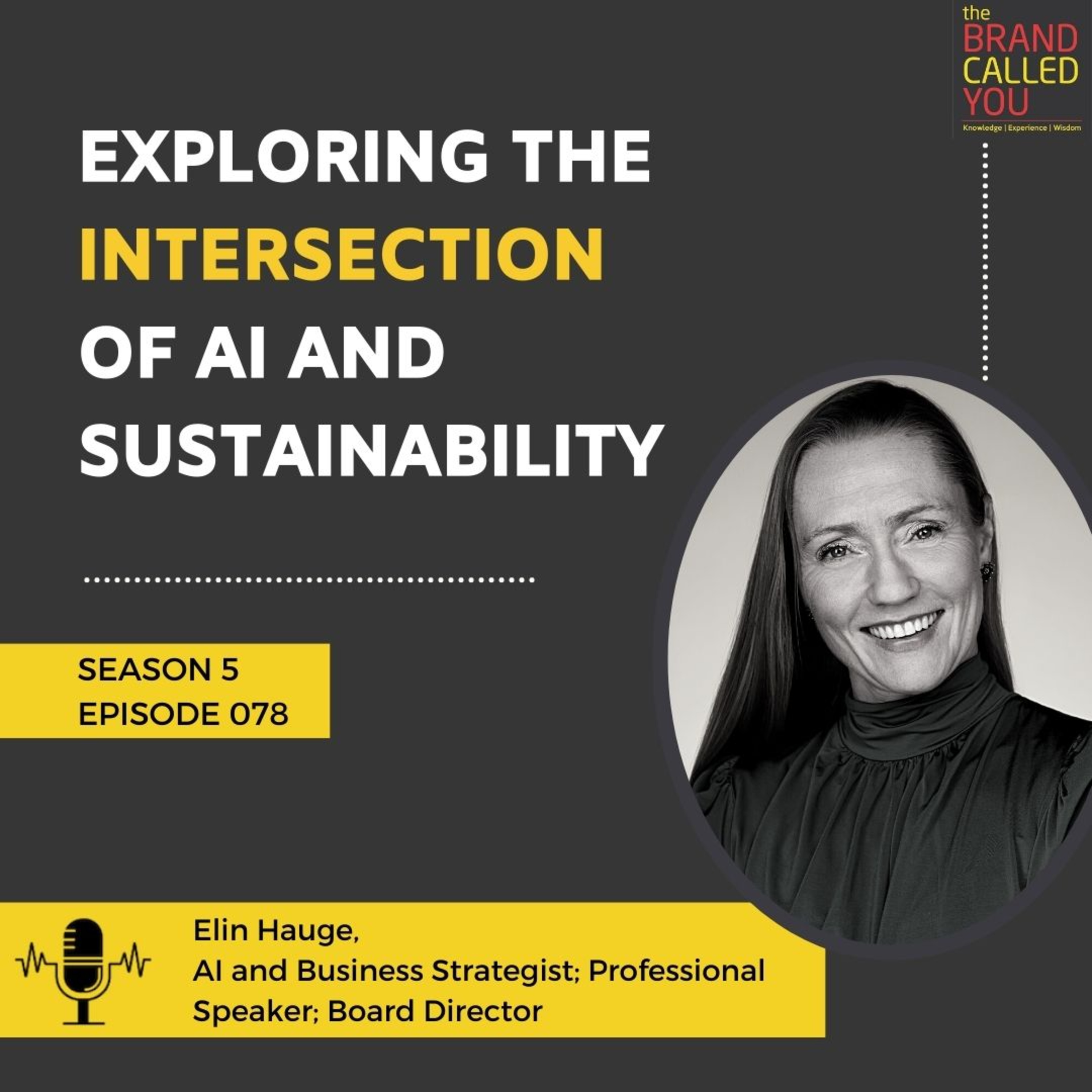 Exploring the Intersection of AI and Sustainability | Elin Hauge | AI and Business Strategist; Professional Speaker; Board Director