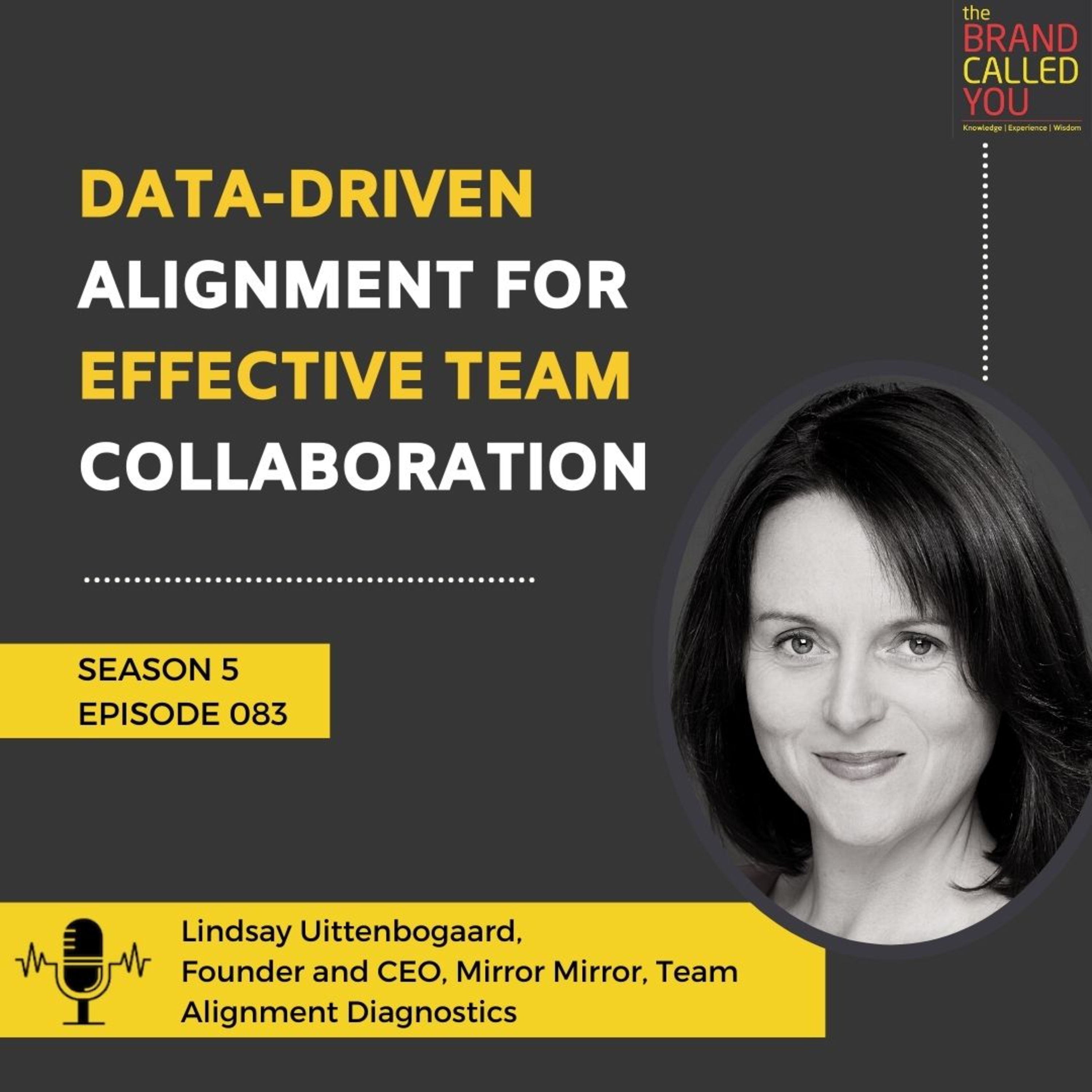 DataDriven Alignment for Effective Team Collaboration Lindsay