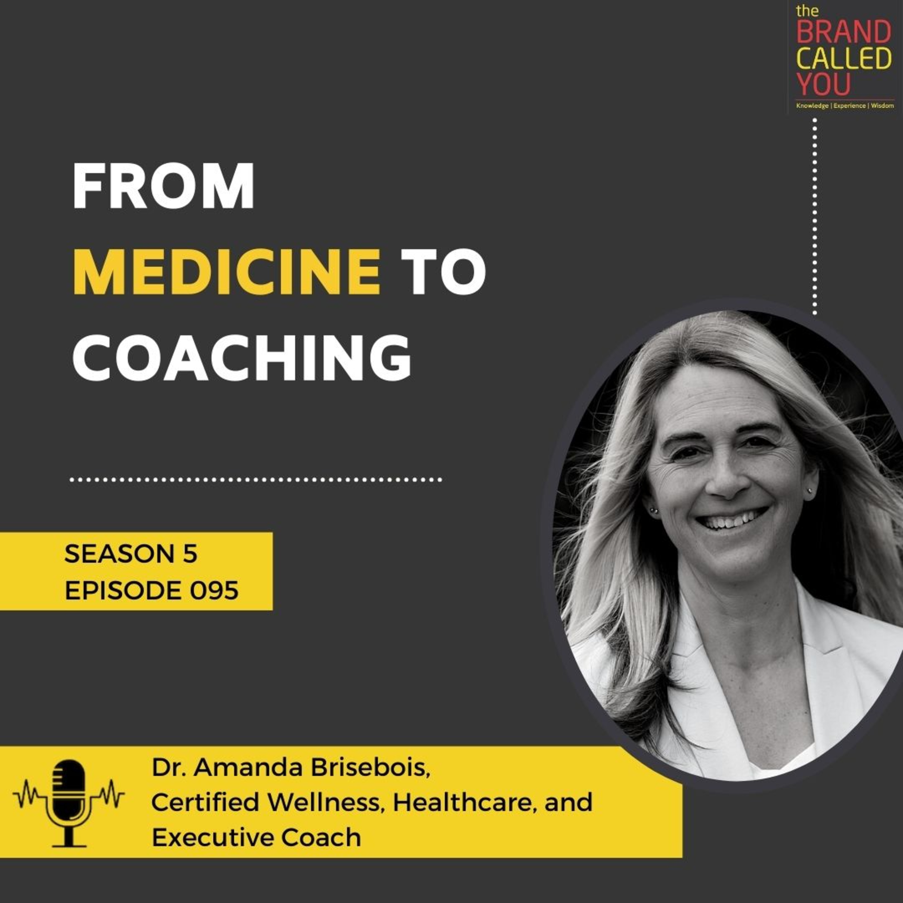 From Medicine to Coaching | Dr. Amanda Brisebois | Certified Wellness, Healthcare, and Executive Coach