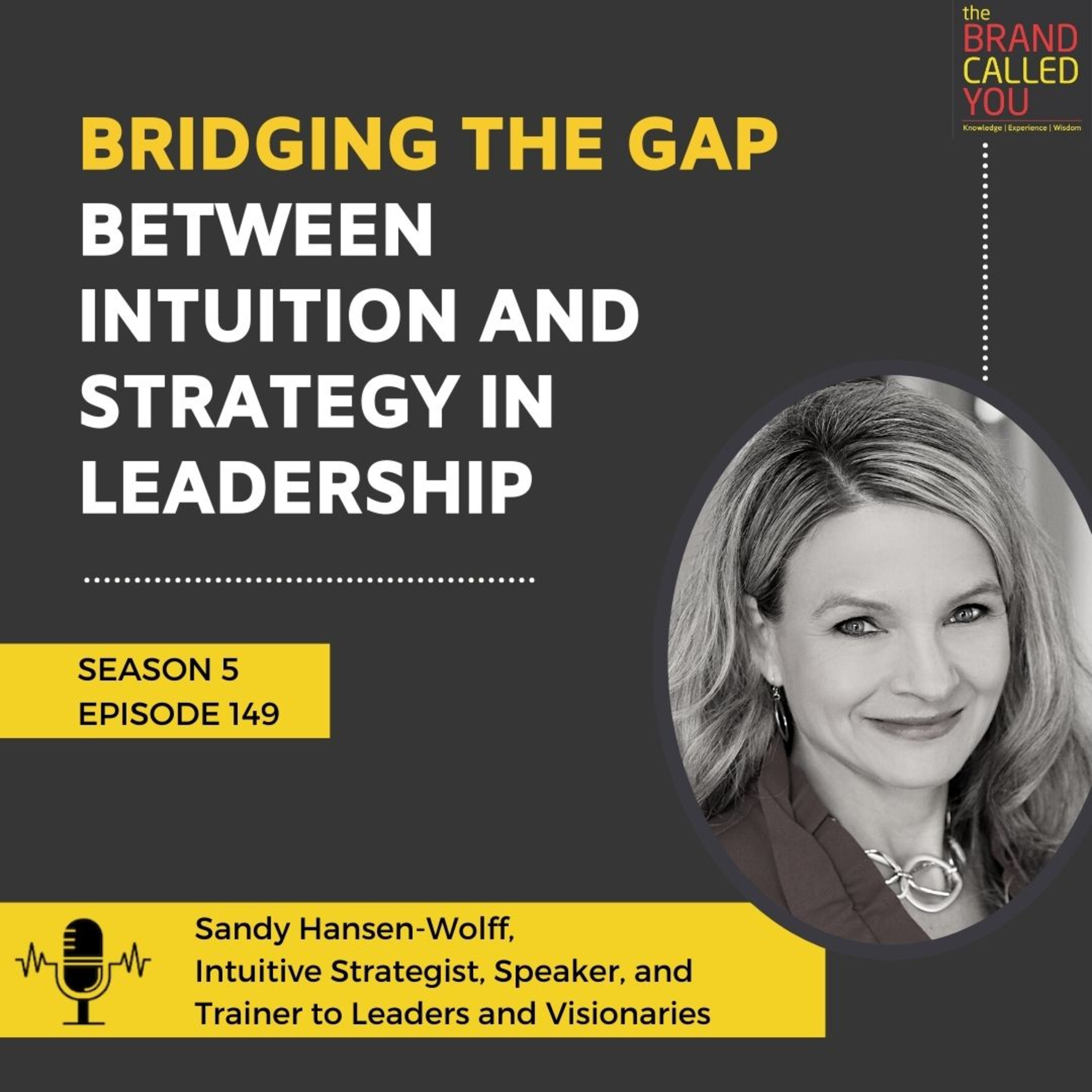 Bridging the Gap Between Intuition and Strategy in Leadership | Sandy Hansen-Wolff | Intuitive Strategist, Speaker, and Trainer to Leaders and Visionaries