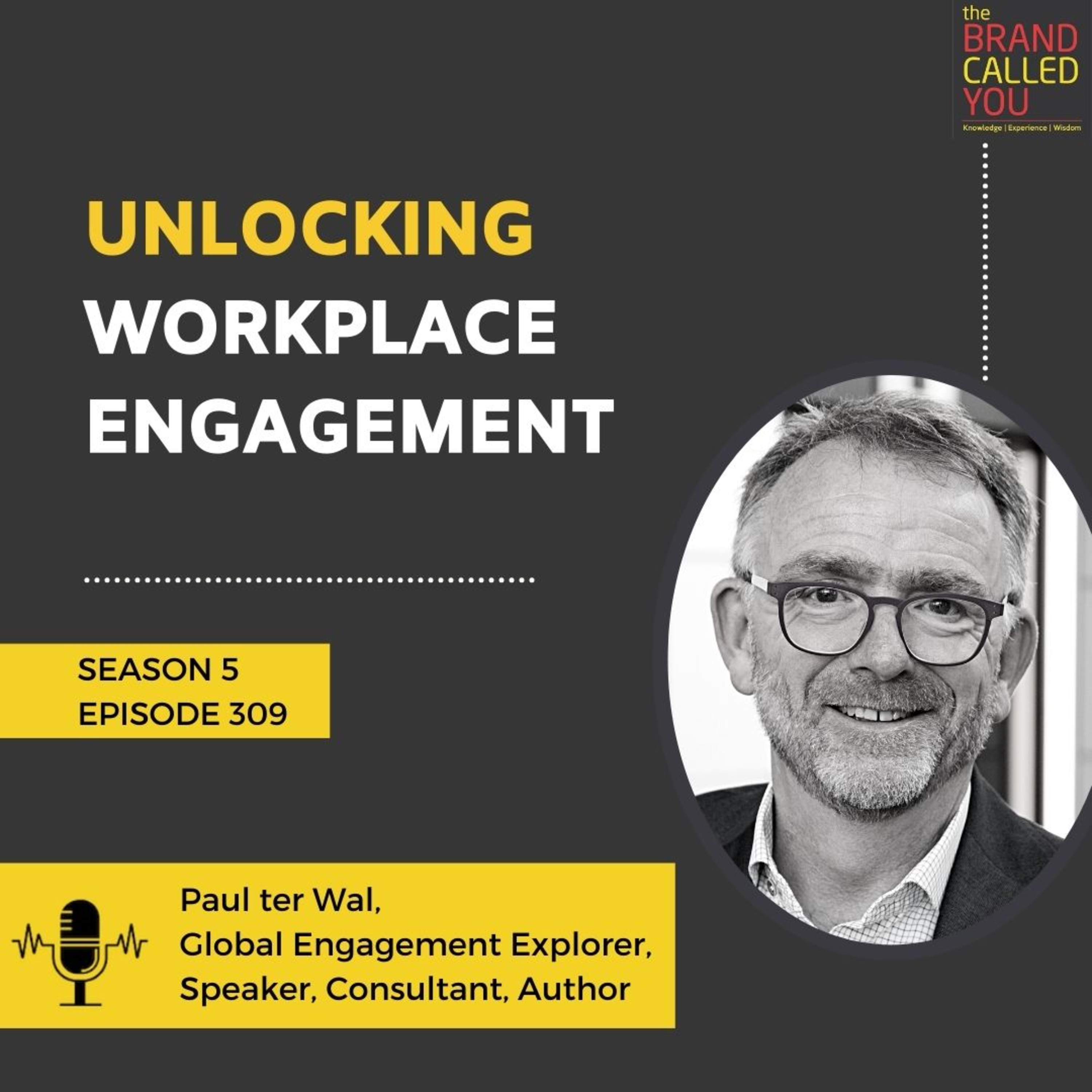 Unlocking Workplace Engagement | Paul ter Wal | Global Engagement Explorer, Speaker, Consultant, Author