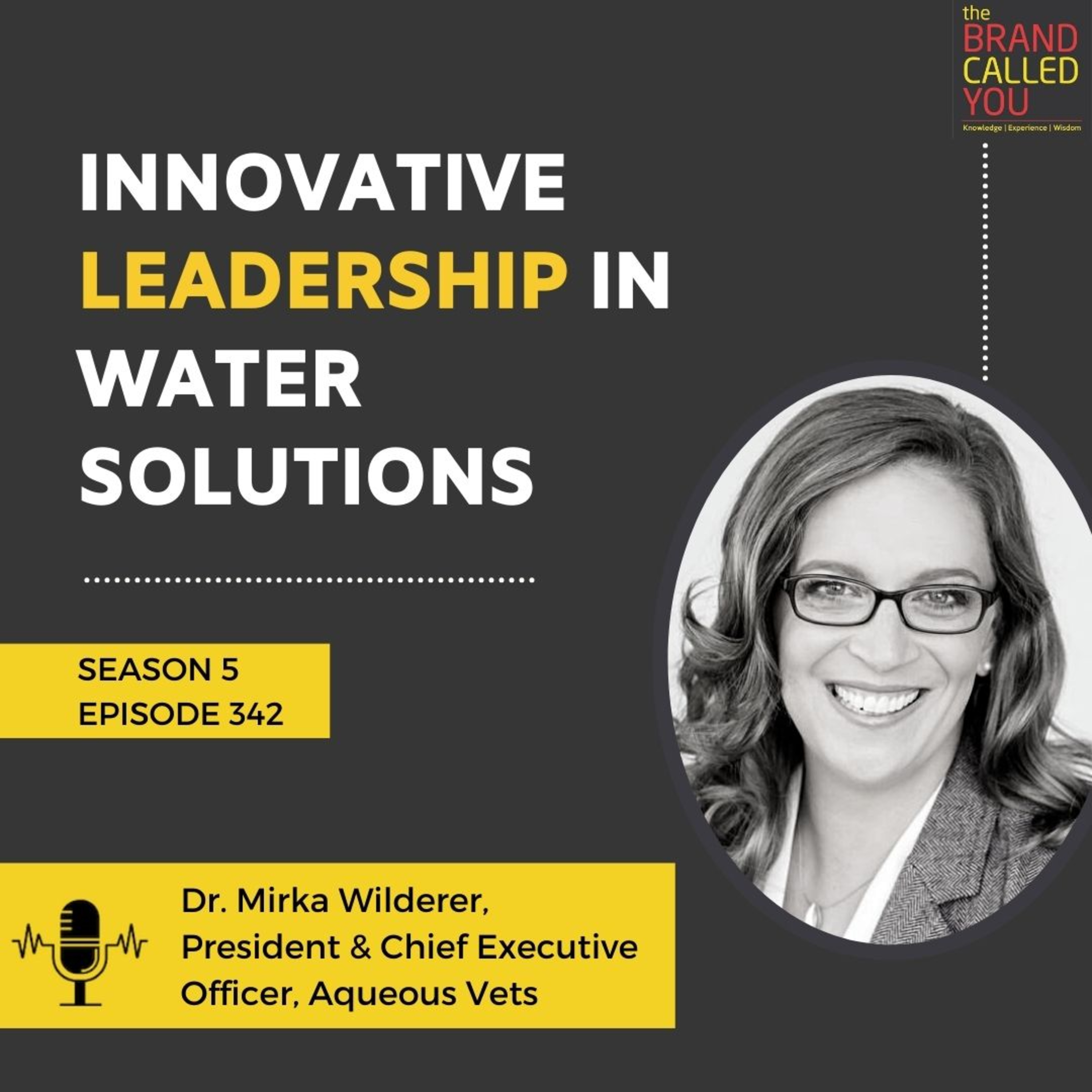 Innovative Leadership in Water Solutions | Dr. Mirka Wilderer | President & Chief Executive Officer, Aqueous Vets
