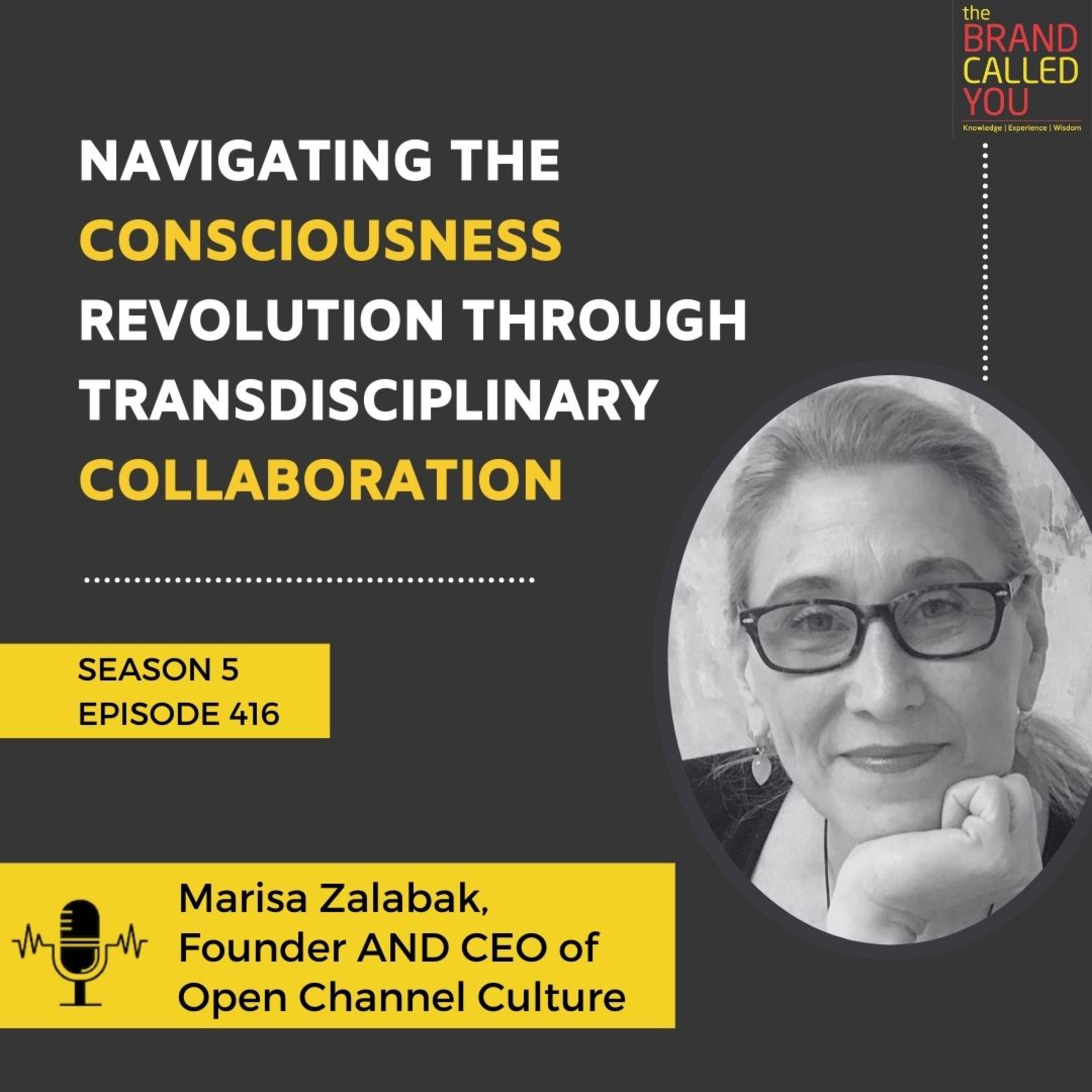 Navigating the Consciousness Revolution Through Transdisciplinary Collaboration | Marisa Zalabak, Founder AND CEO of Open Channel Culture