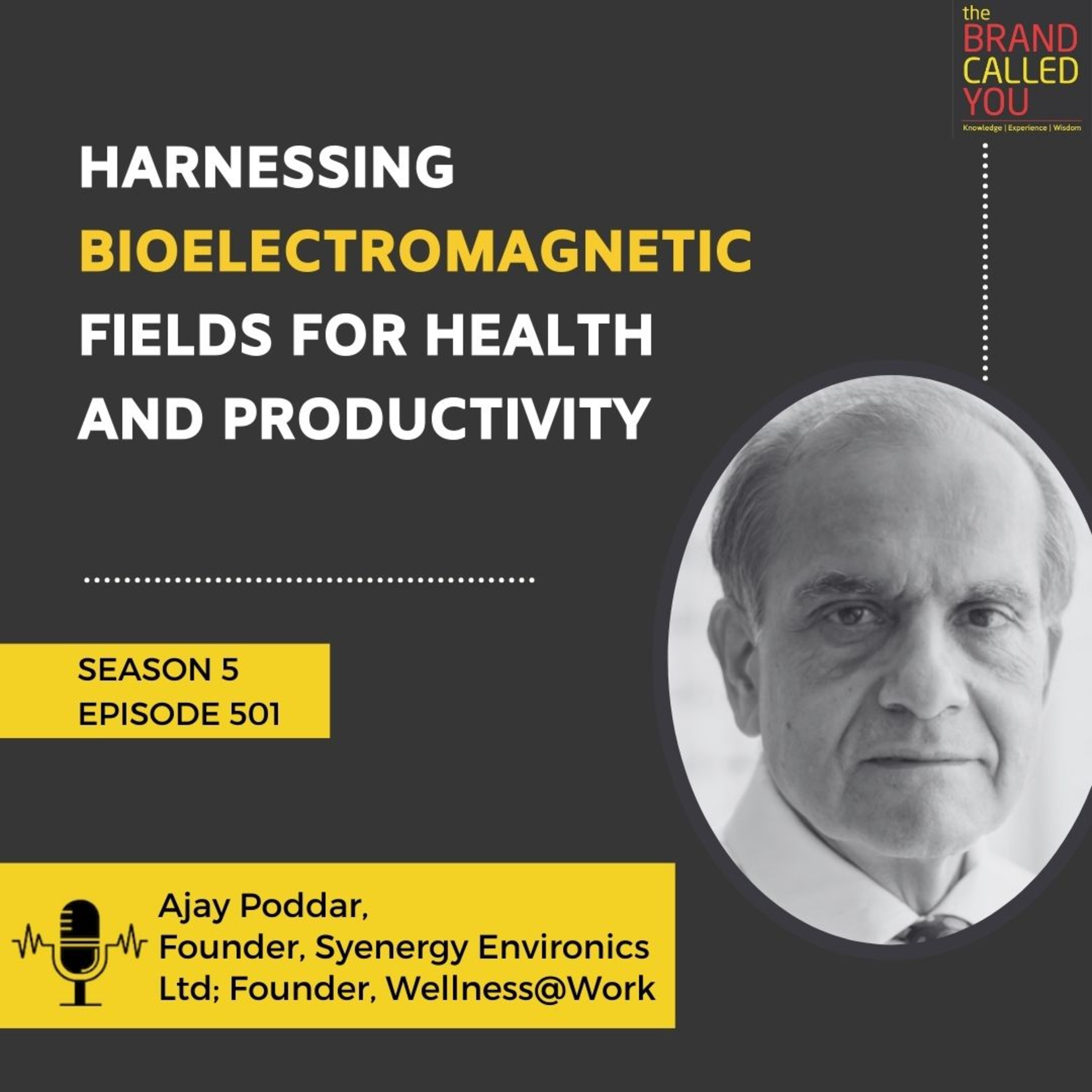 Harnessing Bio-electromagnetic Fields for Health and Productivity | Ajay Poddar, Founder, Syenergy Environics Ltd; Founder, Wellness@Work