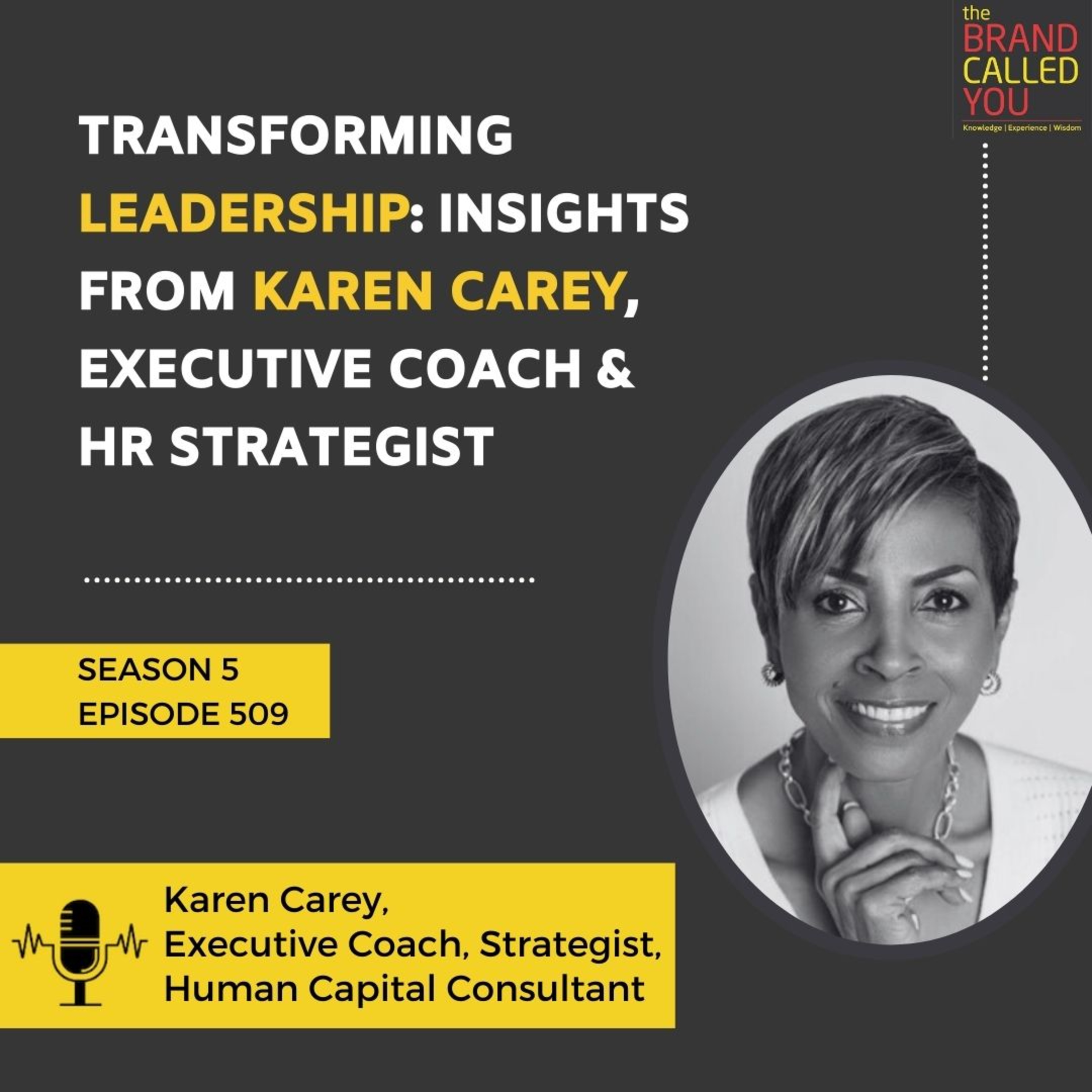 Transforming Leadership: Insights from Karen Carey, Executive Coach & HR Strategist | Karen Carey, Executive Coach, Strategist, Human Capital Consultant
