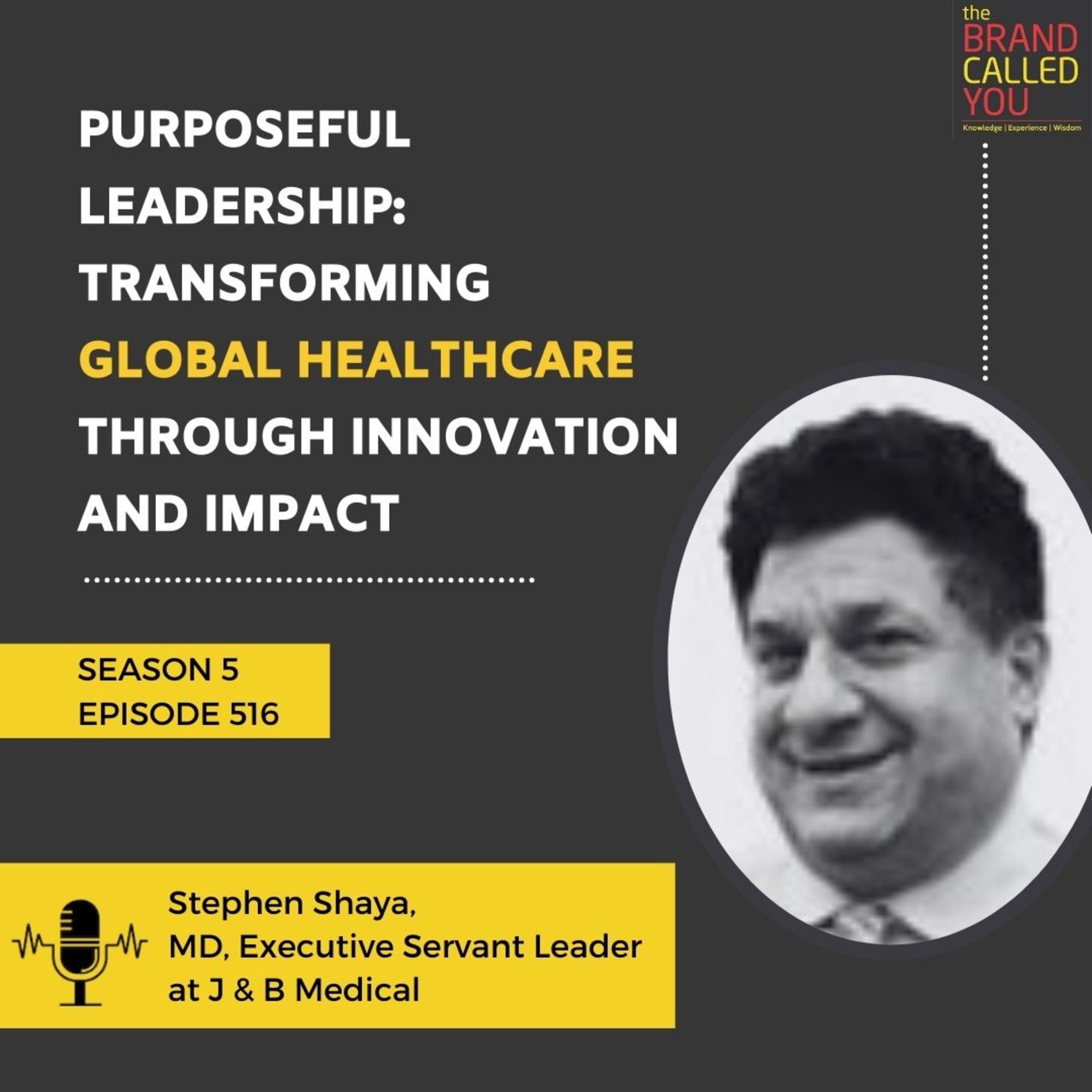 Purposeful Leadership: Transforming Global Healthcare Through Innovation and Impact | Stephen Shaya | MD, Executive Servant Leader at J & B Medical