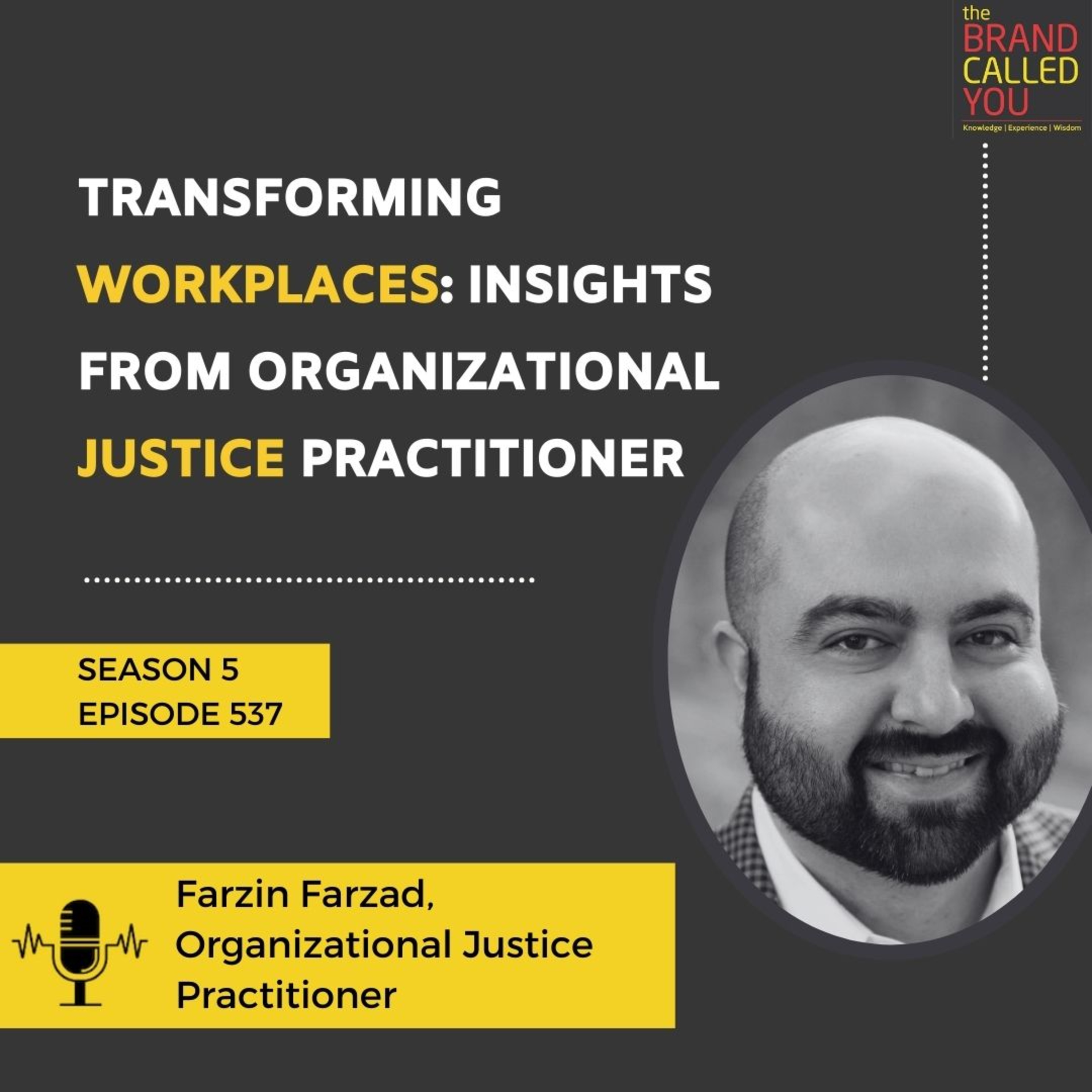Transforming Workplaces: Insights from Organizational Justice Practitioner | Farzin Farzad, Organizational Justice Practitioner