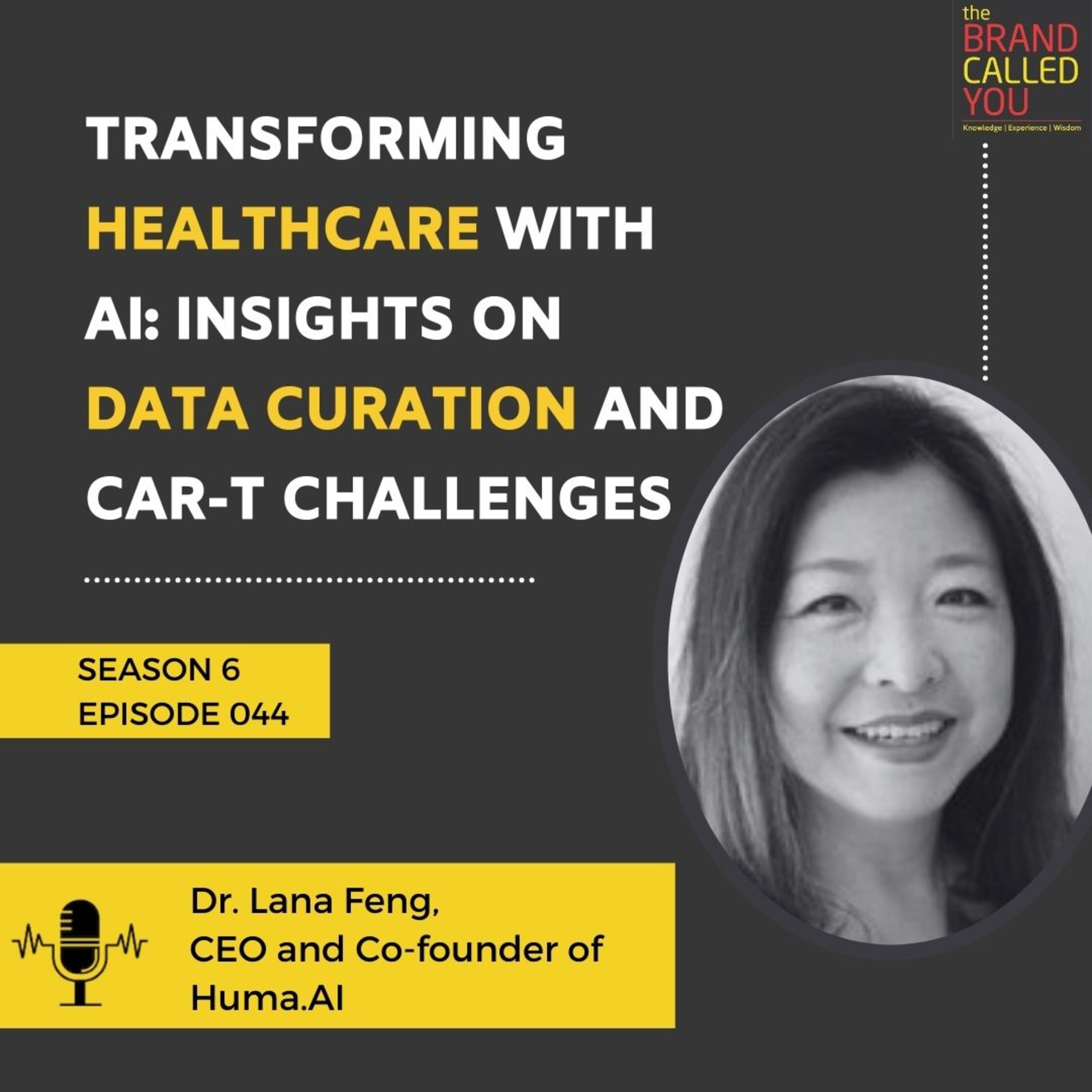 Transforming Healthcare with AI: Insights on Data Curation and CAR-T Challenges | Dr. Lana Feng | CEO and Co-founder of Huma.AI