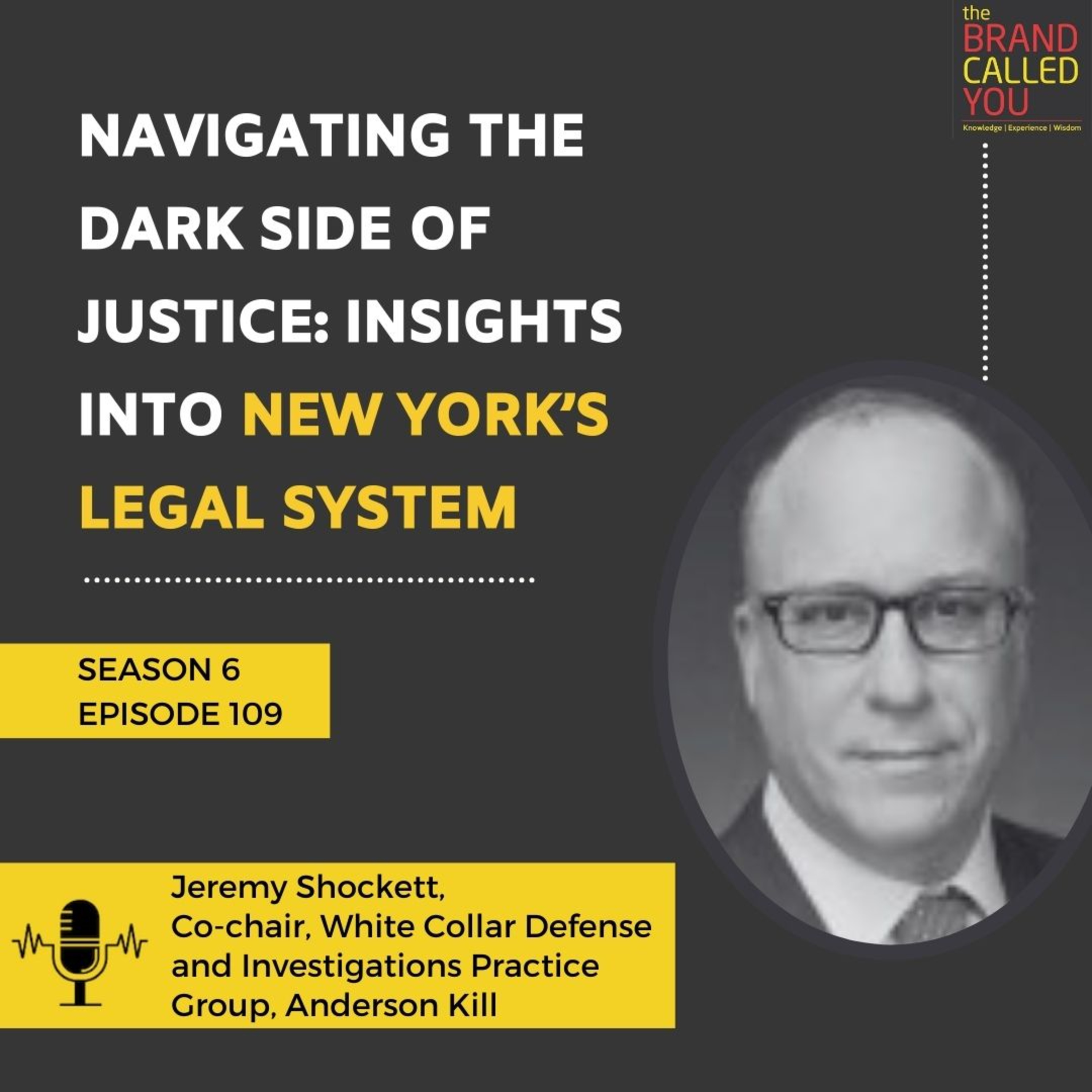 Navigating the Dark Side of Justice: Insights into New York’s Legal System | Jeremy Shockett | Co-chair, White Collar Defense and Investigations Practice Group, Anderson Kill