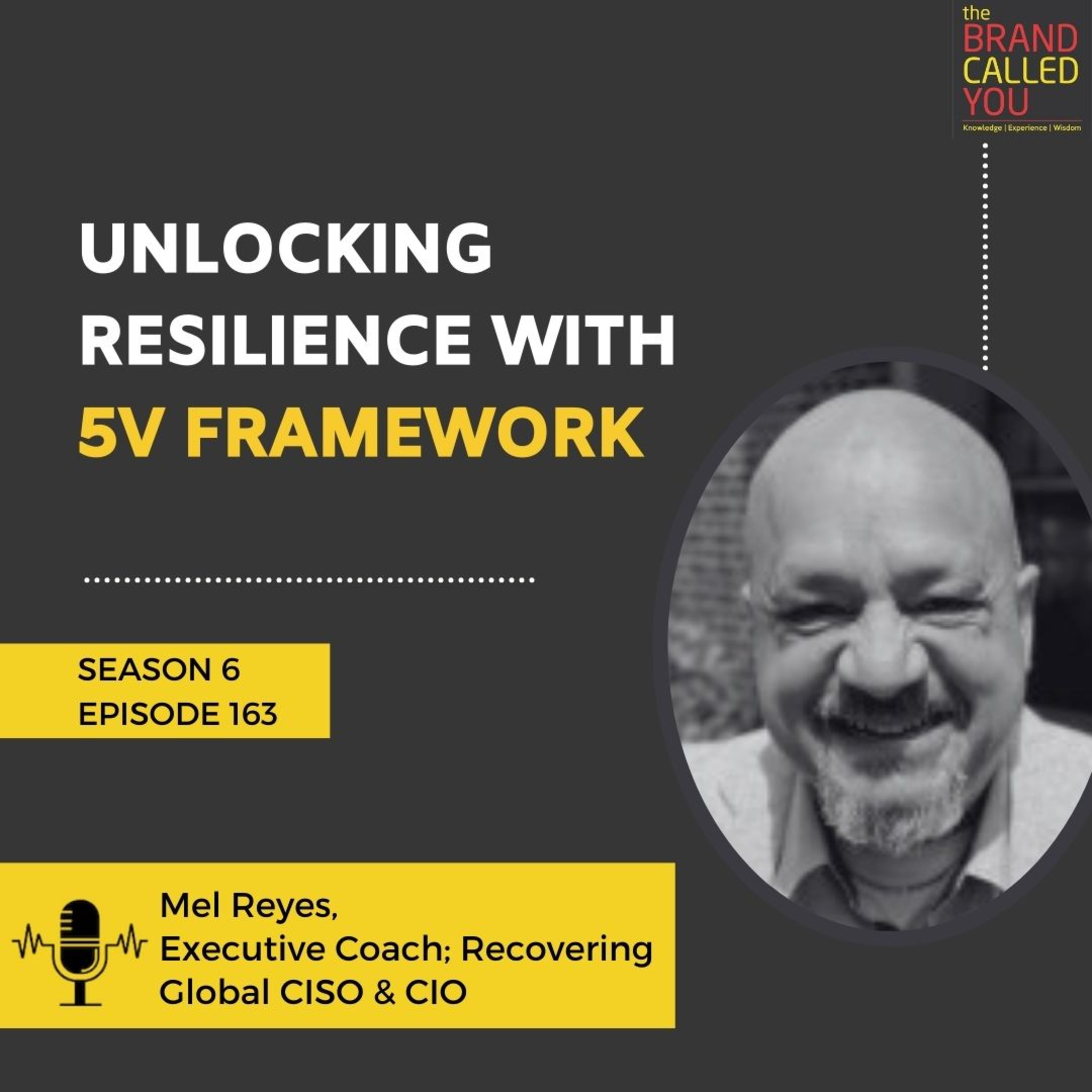 Unlocking Resilience With 5V Framework | Mel Reyes | Executive Coach; Recovering Global CISO & CIO