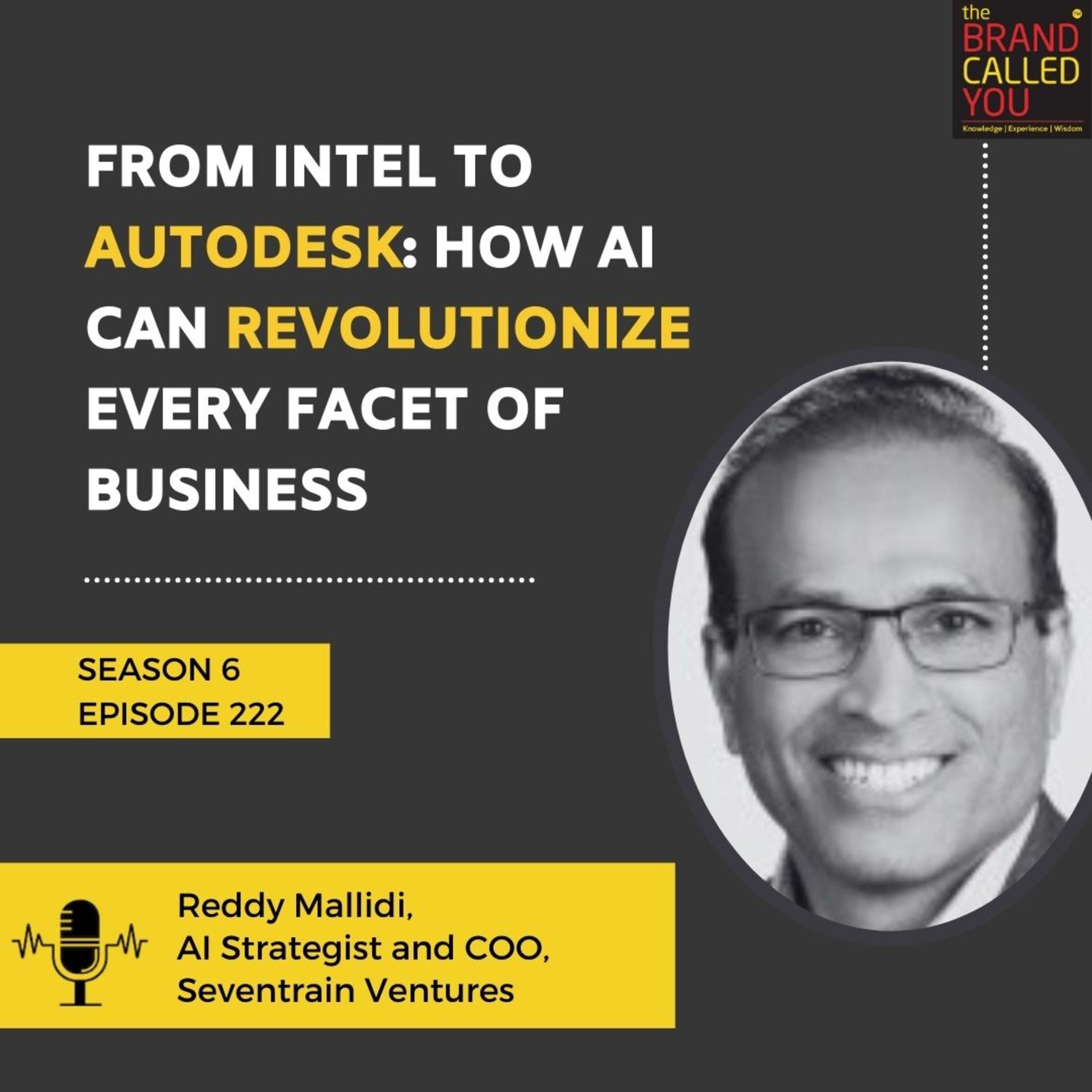 From Intel to Autodesk: How AI Can Revolutionize Every Facet of Business | Reddy Mallidi, AI Strategist and COO, Seventrain Ventures
