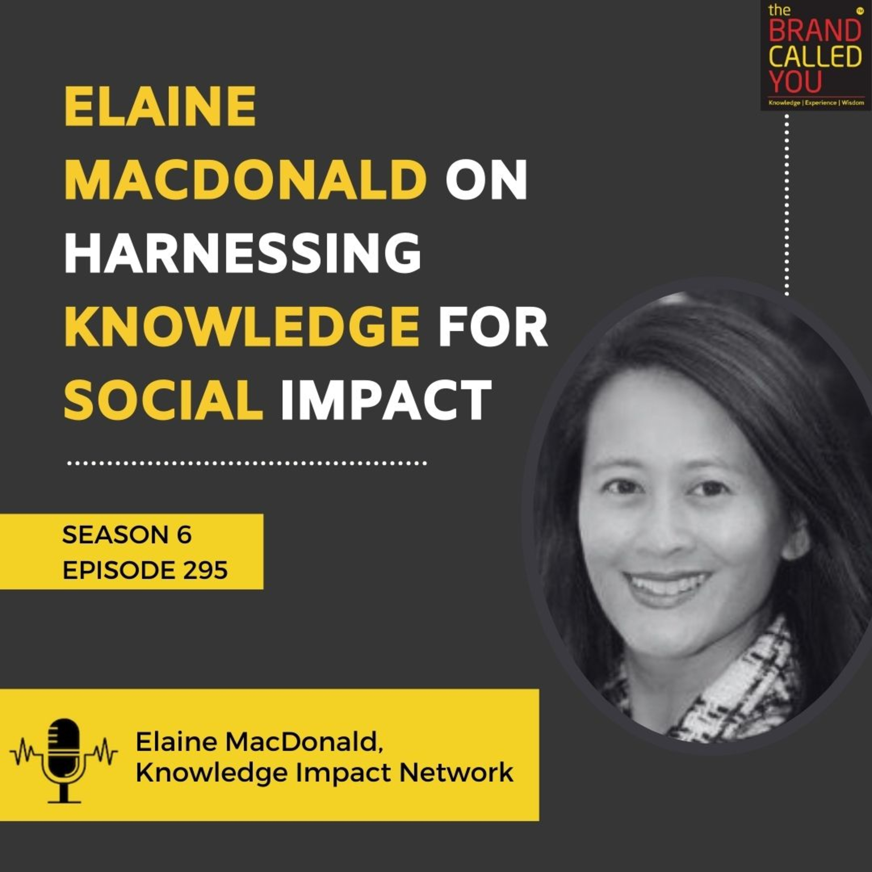 Elaine MacDonald on Harnessing Knowledge for Social Impact | Knowledge Impact Network"