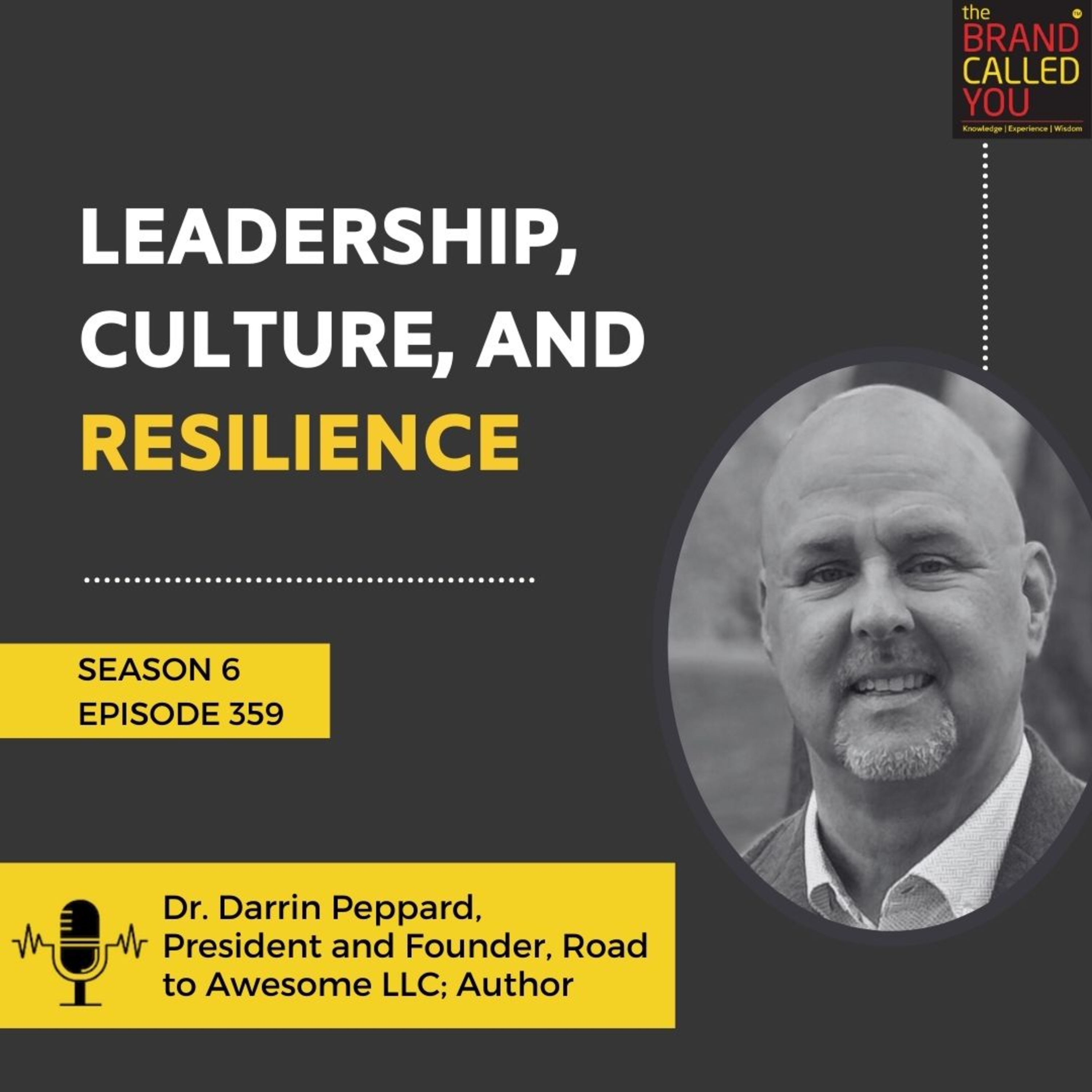 Leadership, Culture, and Resilience | Dr Darrin Peppard, President and Founder, Road to Awesome LLC; Author