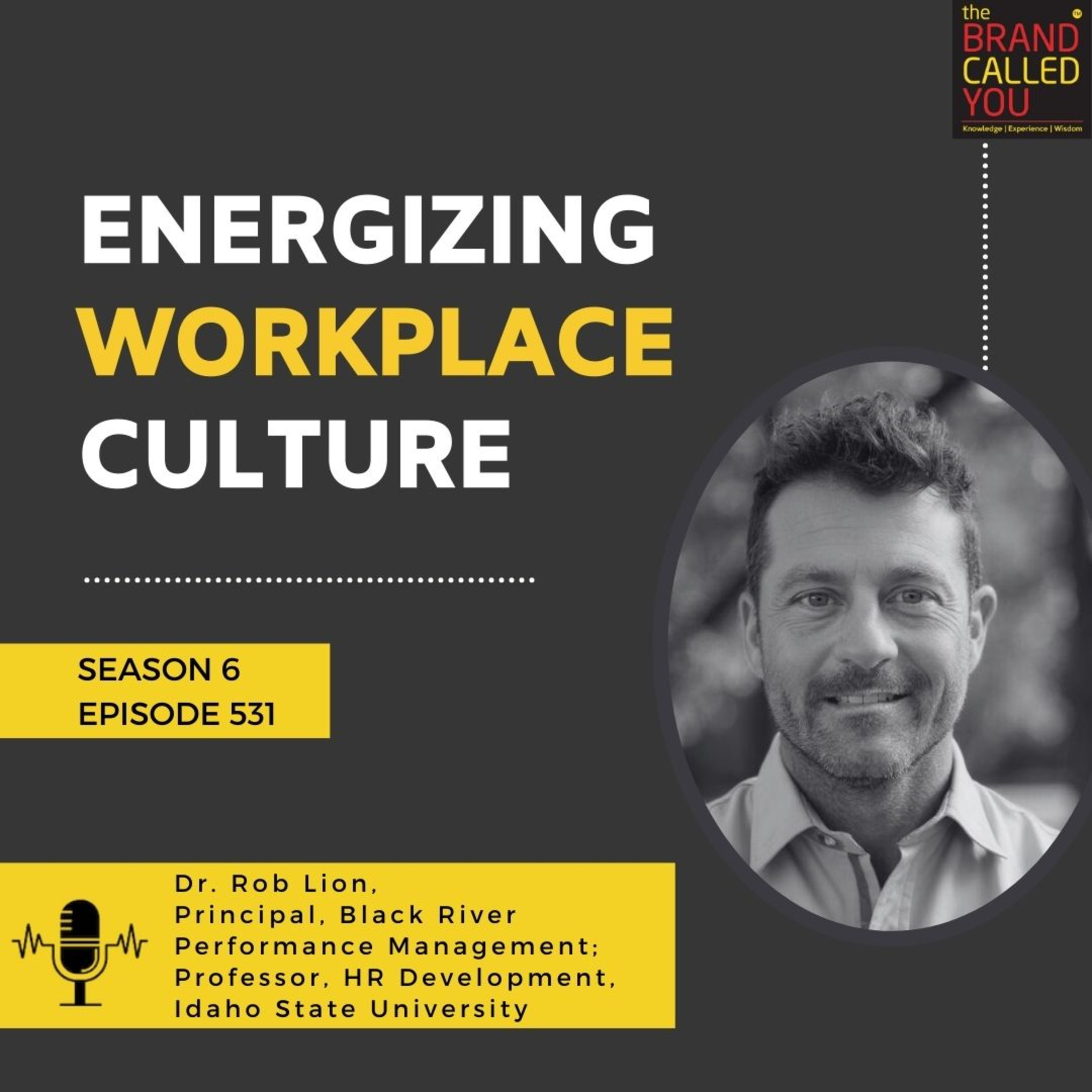 Energizing Workplace Culture: Dr. Rob Lion (Principal, Black River Performance Management & Professor, Idaho State University) on Leadership & Engagement