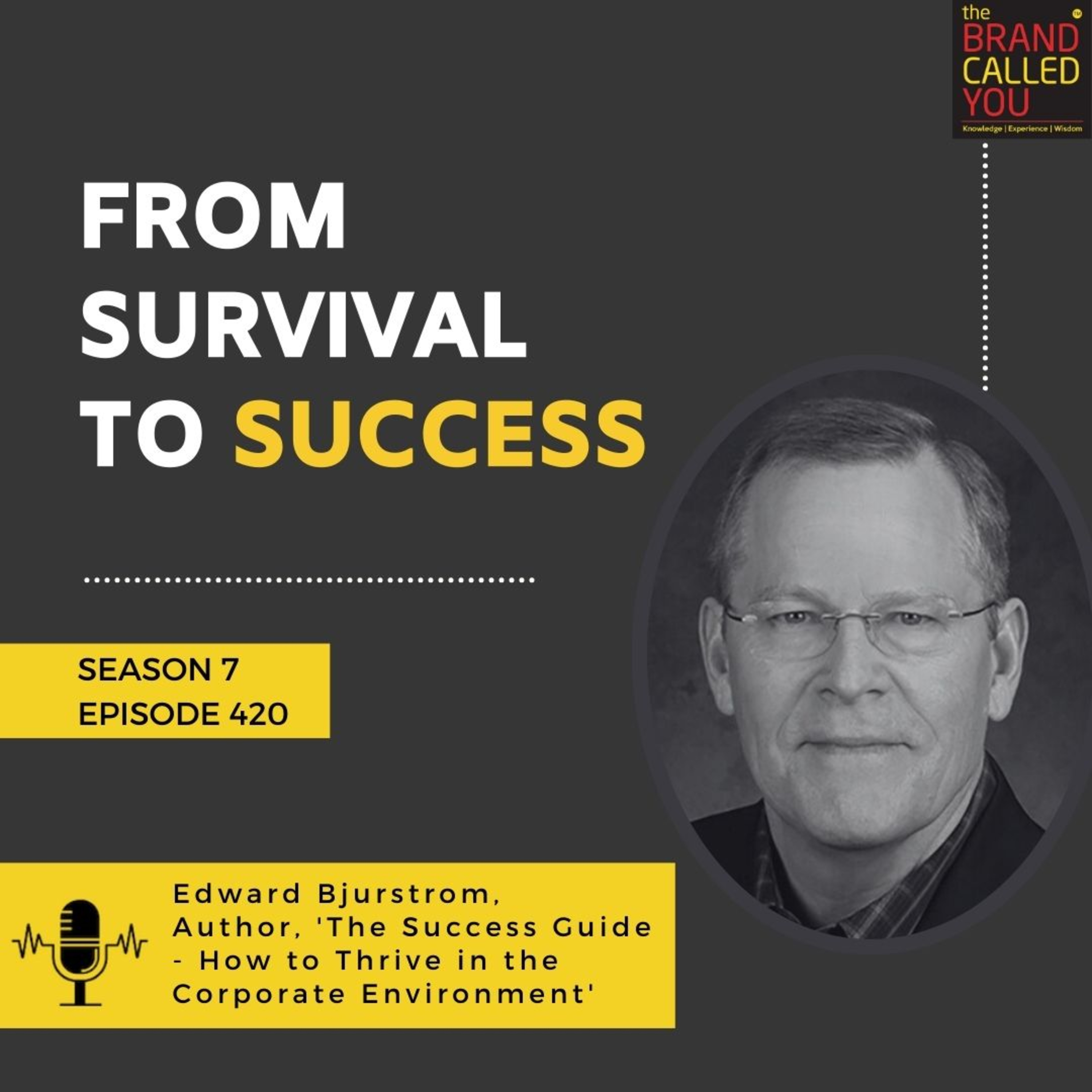 From Survival to Success | Edward Bjurstrom, Author, 'The Success Guide - How to Thrive in the Corporate Environment'