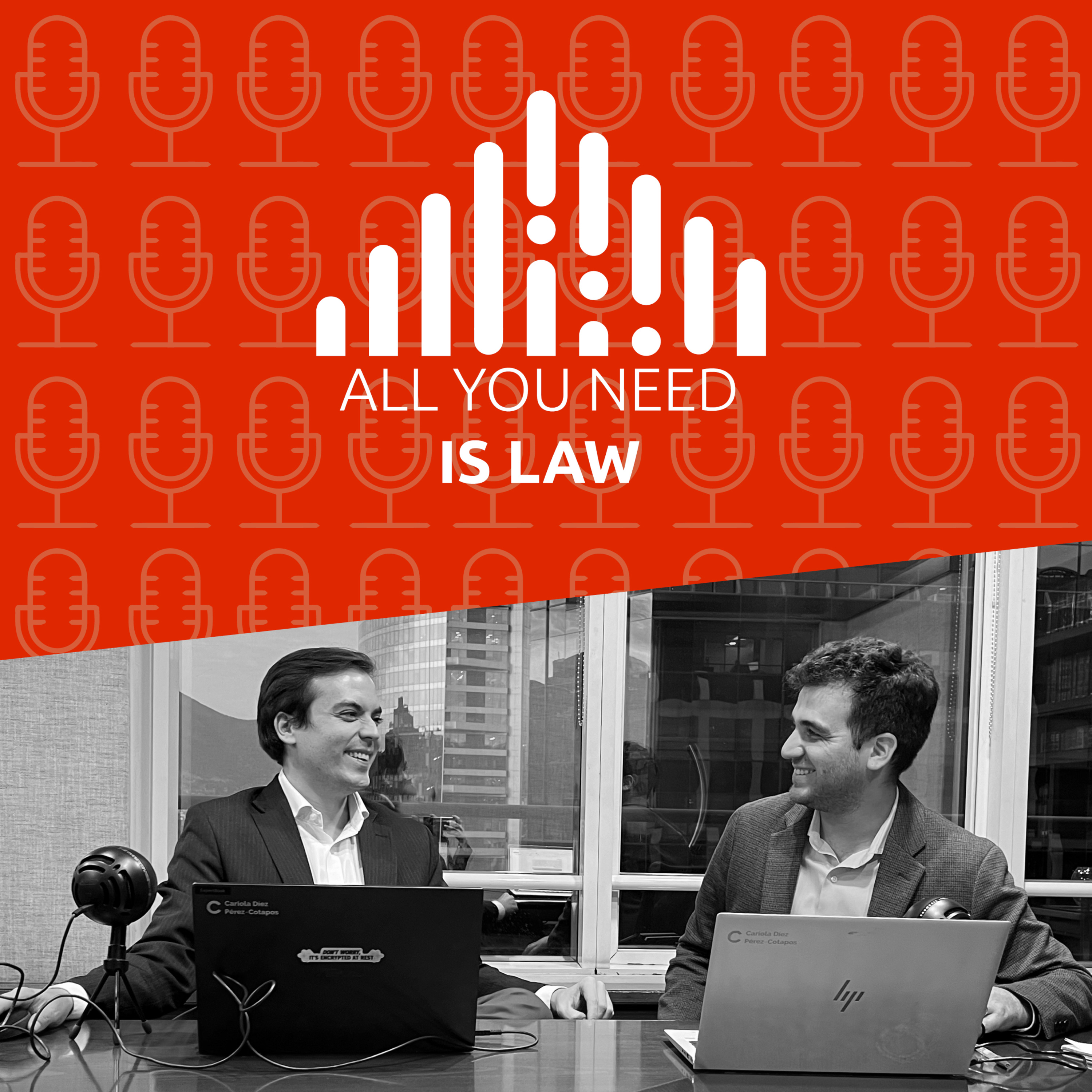 Portada de All You Need is Law