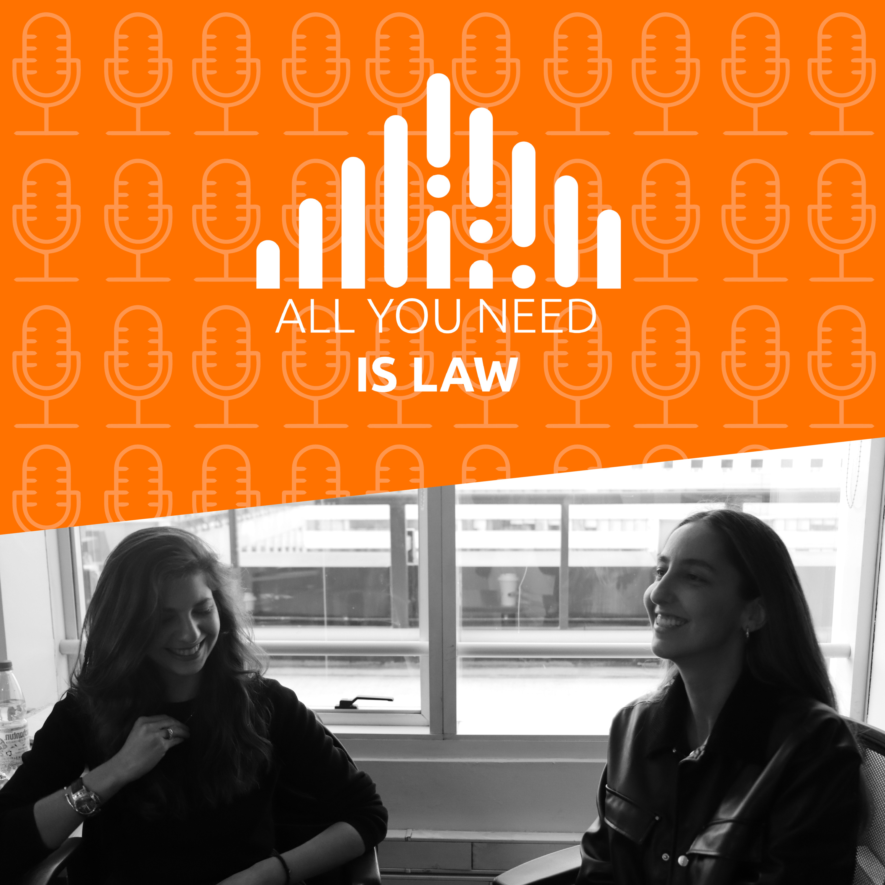 Portada de All You Need is Law