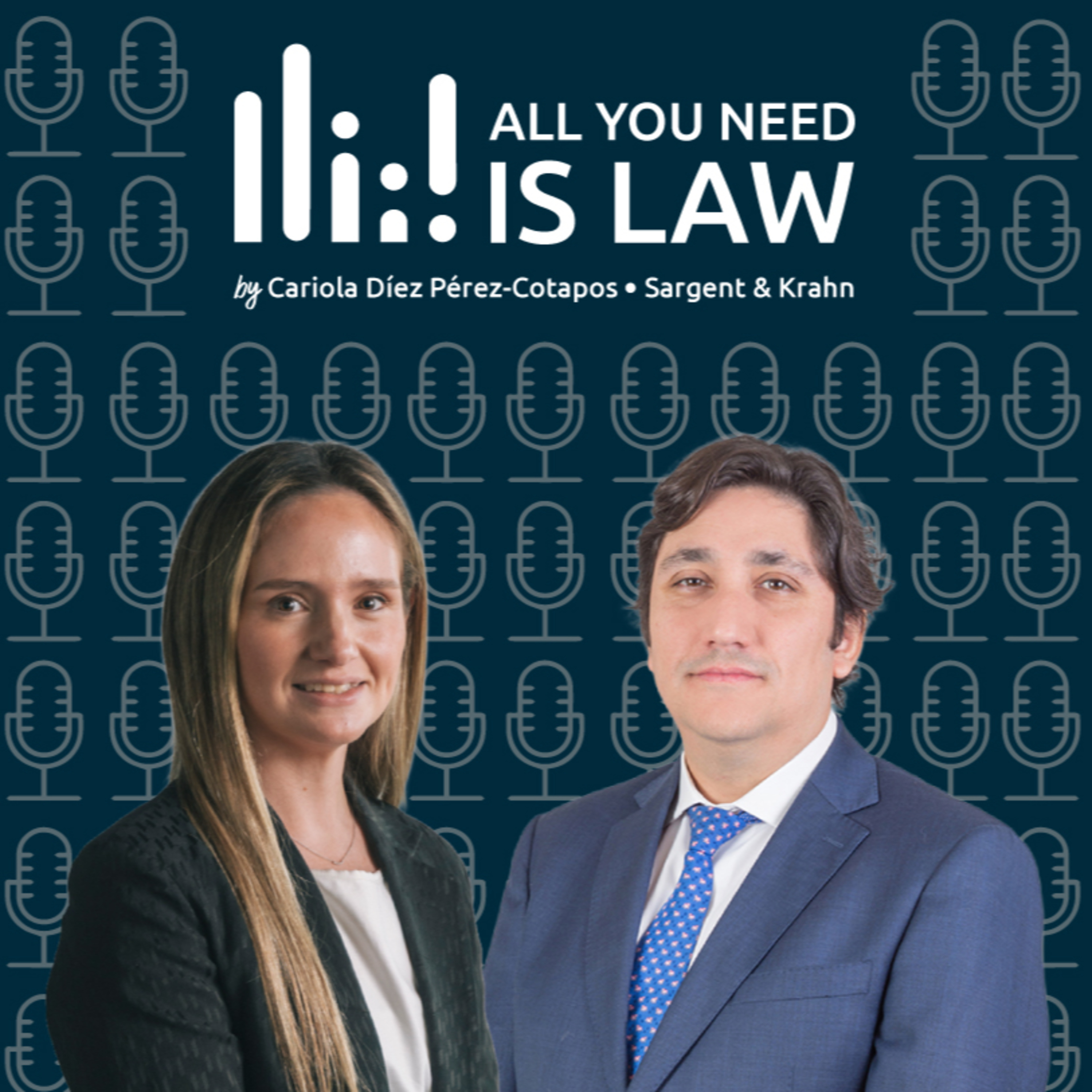 Portada de All You Need is Law