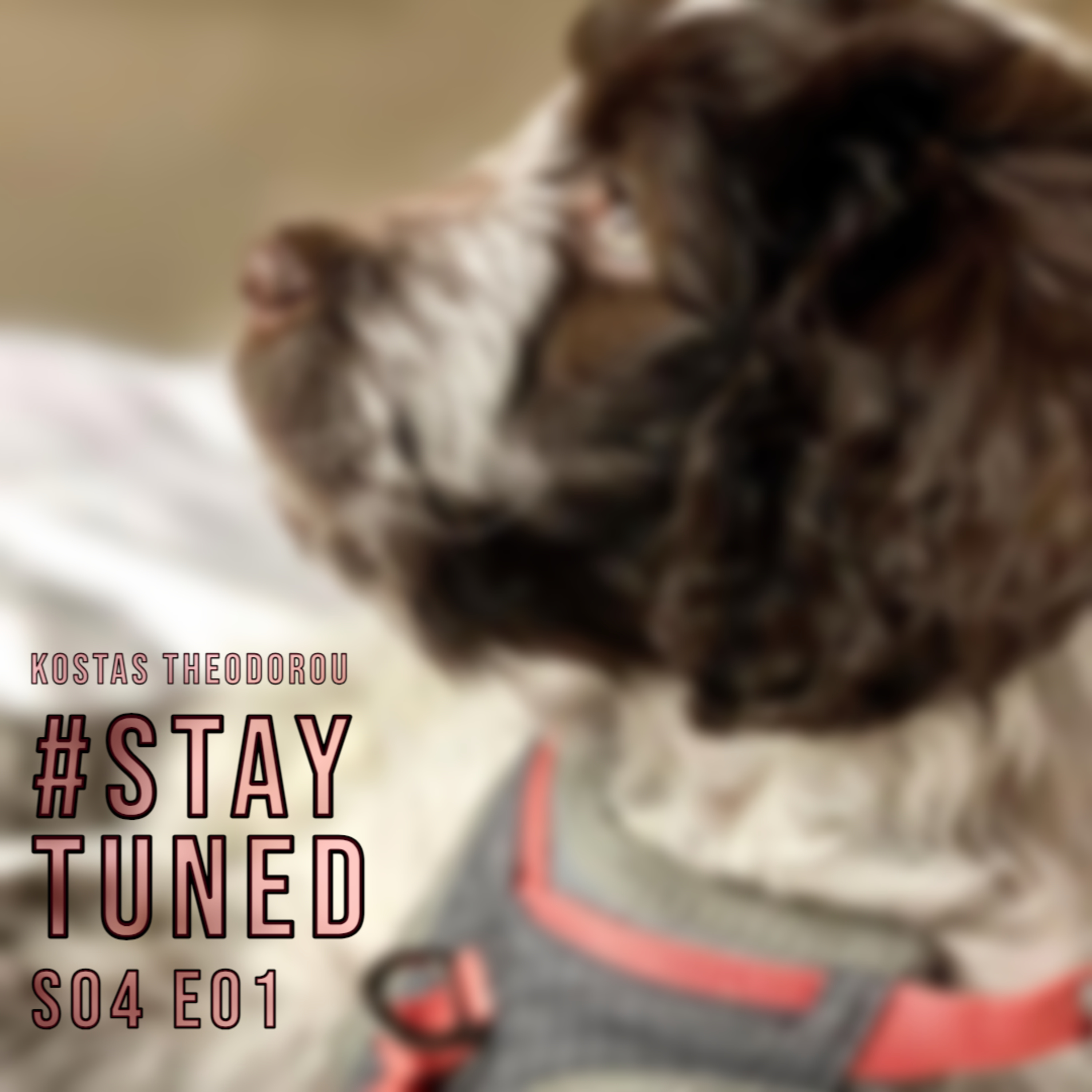 #STAYTUNED