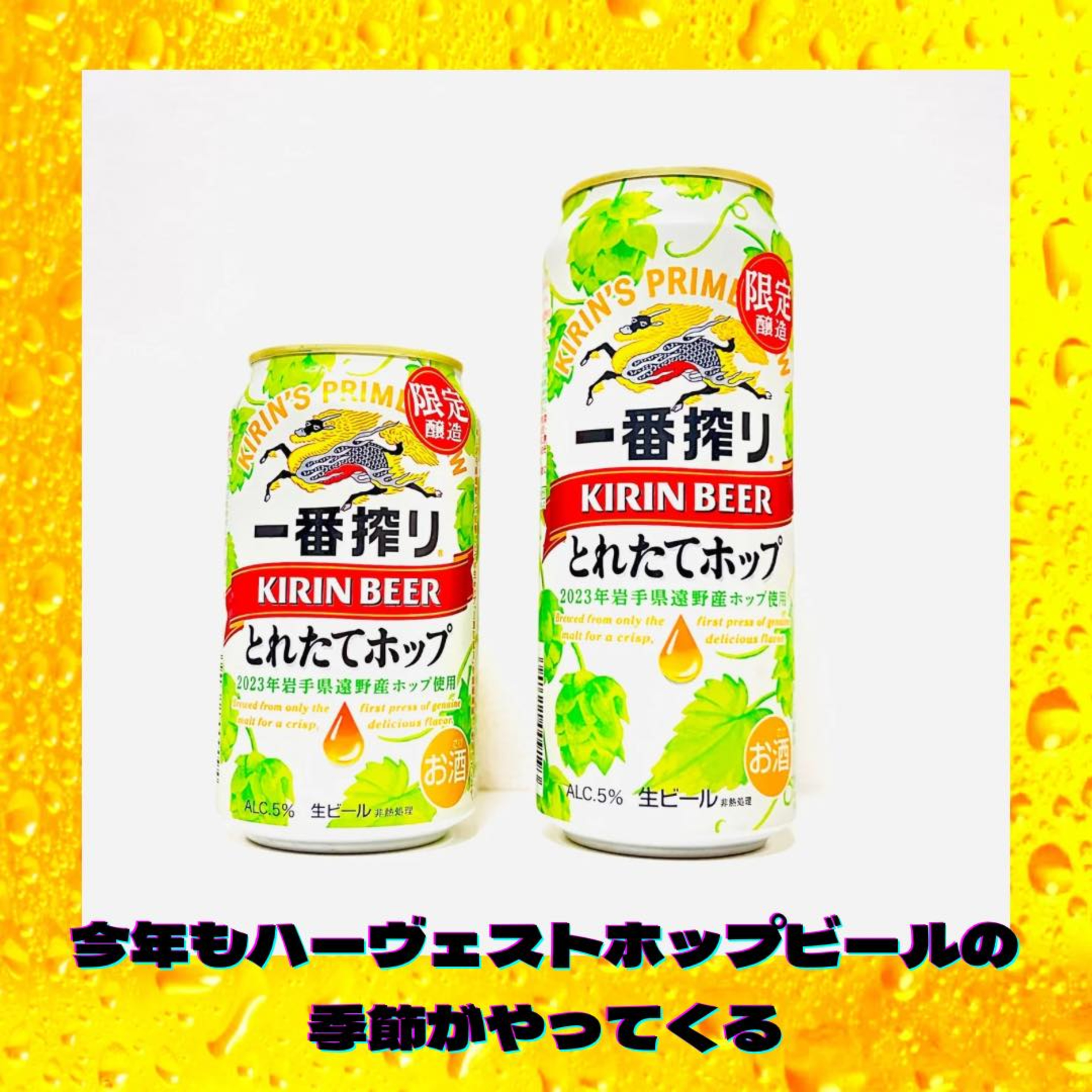 今年もハーヴェストホップビールの季節がやってきた episode artwork
