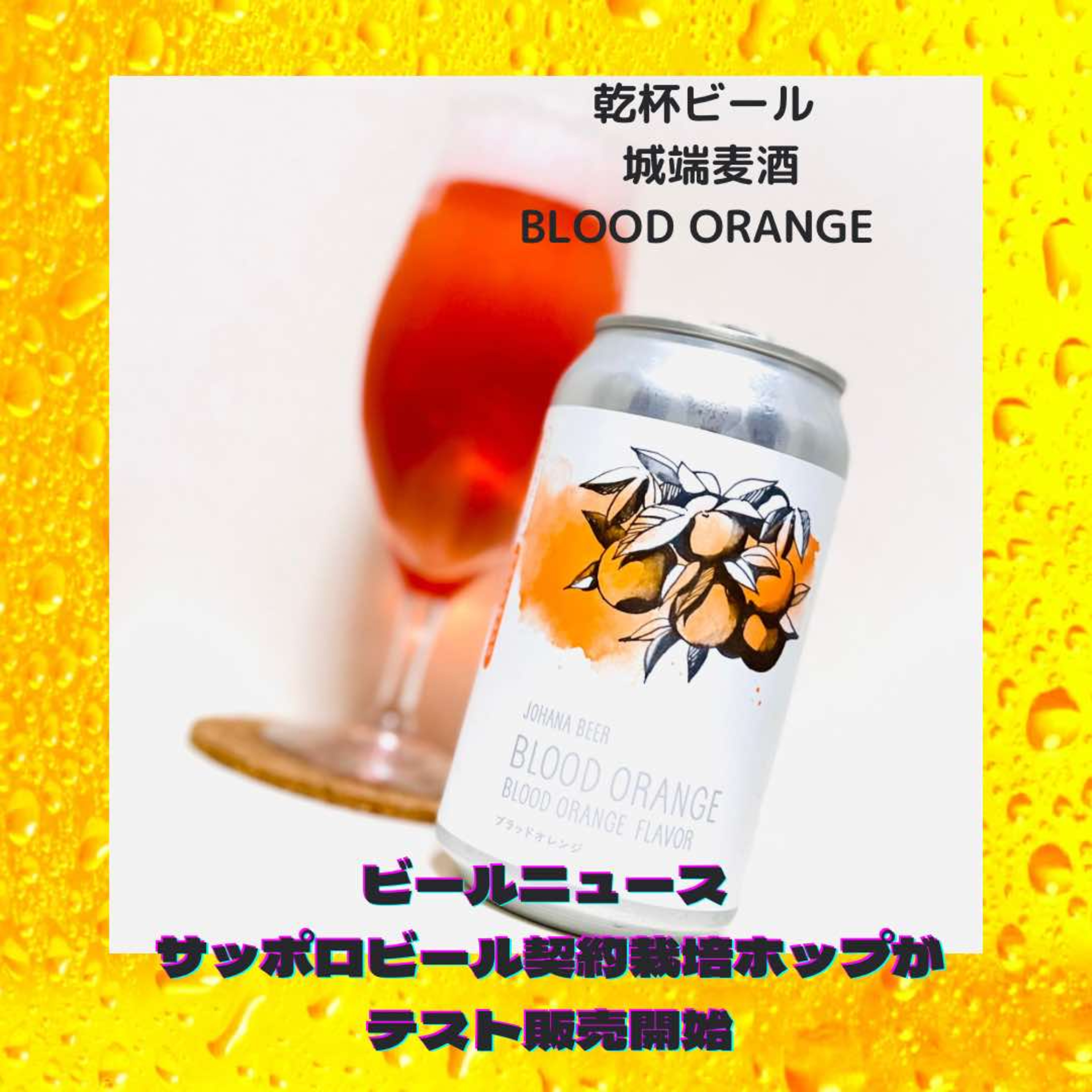 ビールニュース サッポロビール契約栽培ホップがテスト販売開始 episode artwork