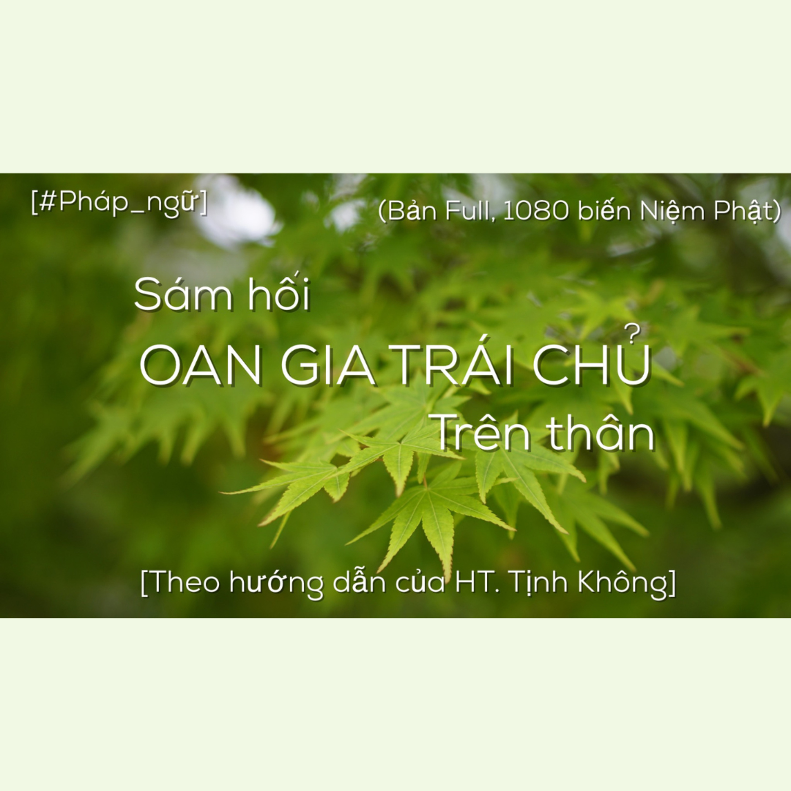 Quynh Huong Le Do
