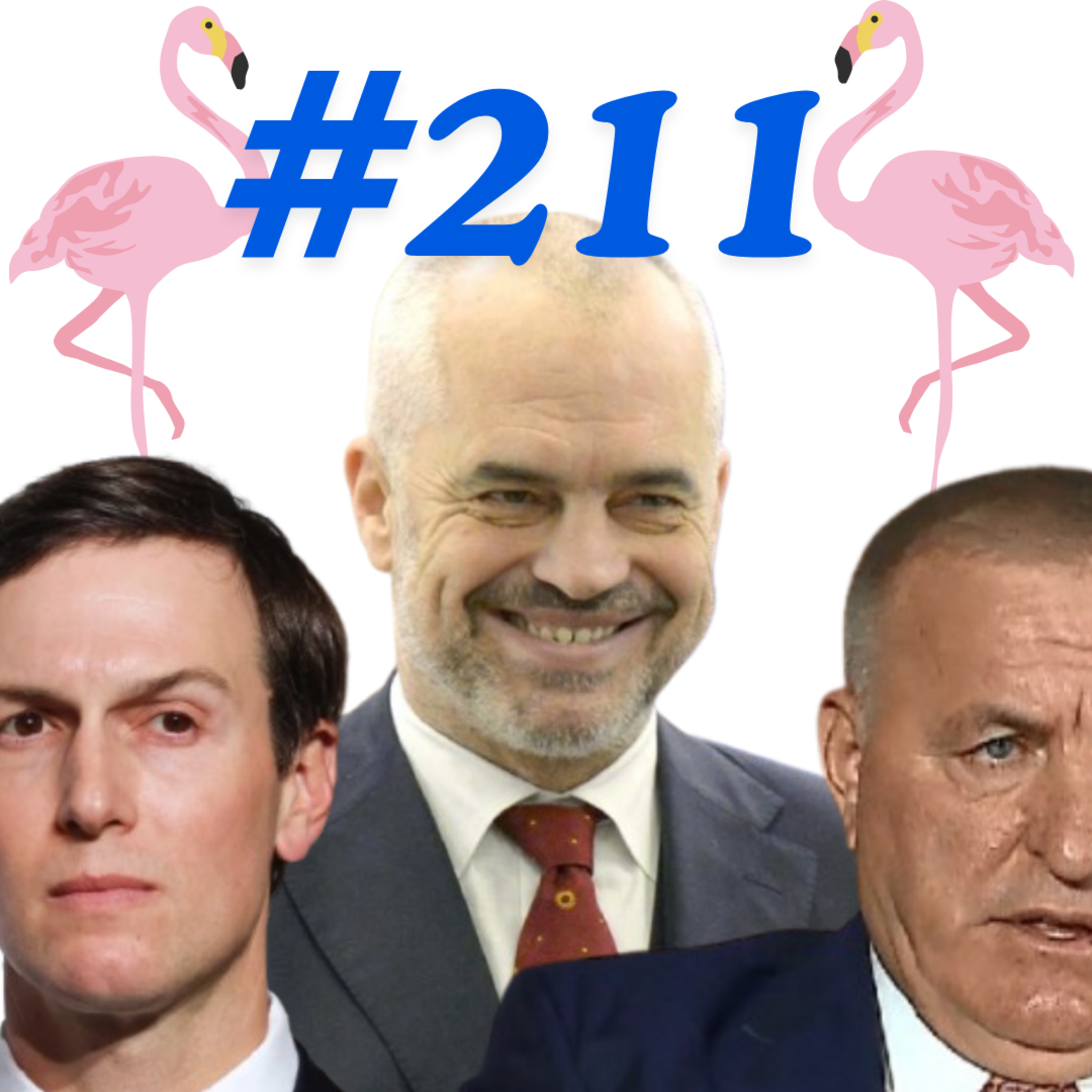 Ligji 21/2024 për zonat e mbrojtura shpjeguar thjeshtë - Buchi Podcast Shqip #211 | Hapsirë Publike episode artwork
