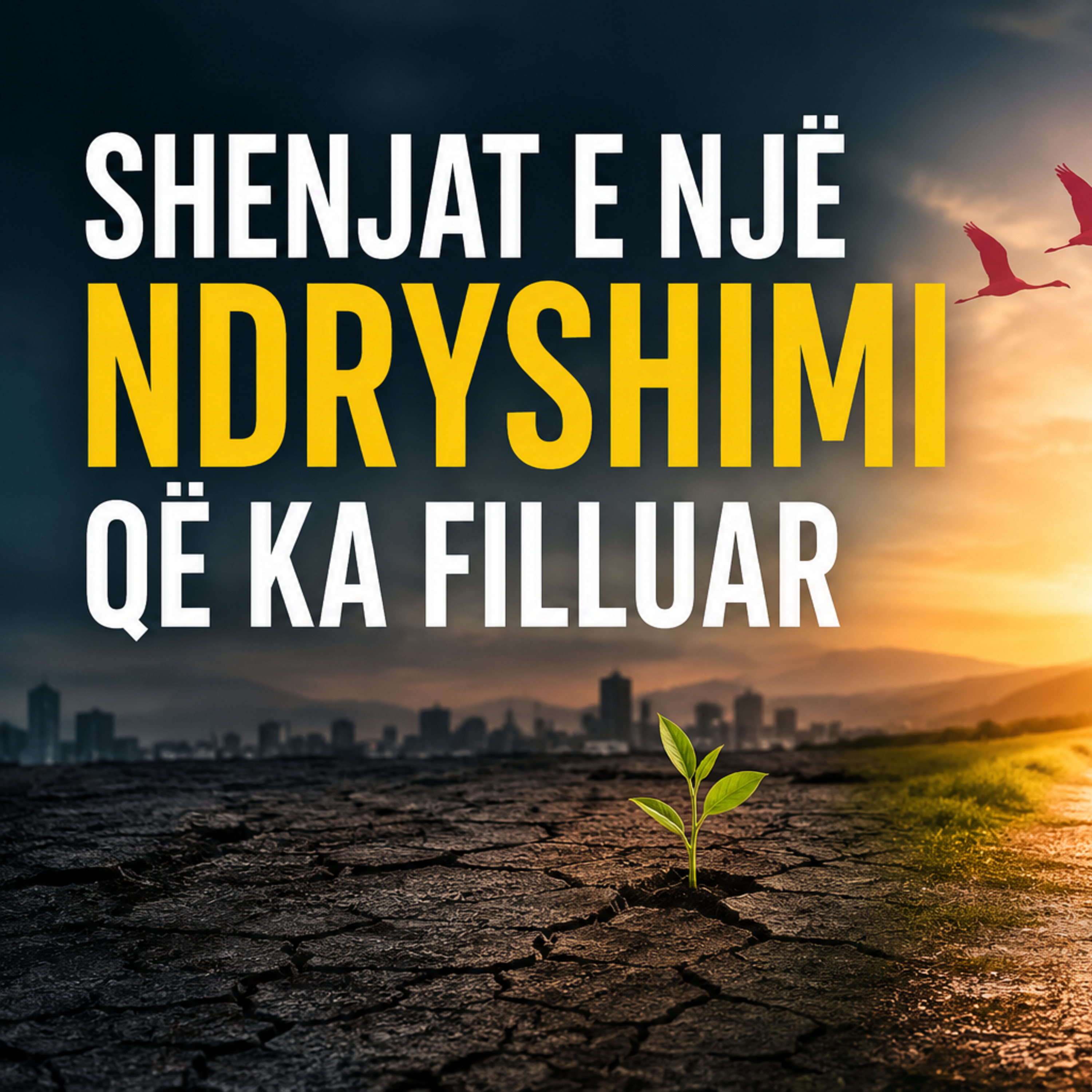 Shenjat e ndryshimit në maratonën e demokracisë - Buchi Podcast Shqip #215 | Hapsirë Publike episode artwork