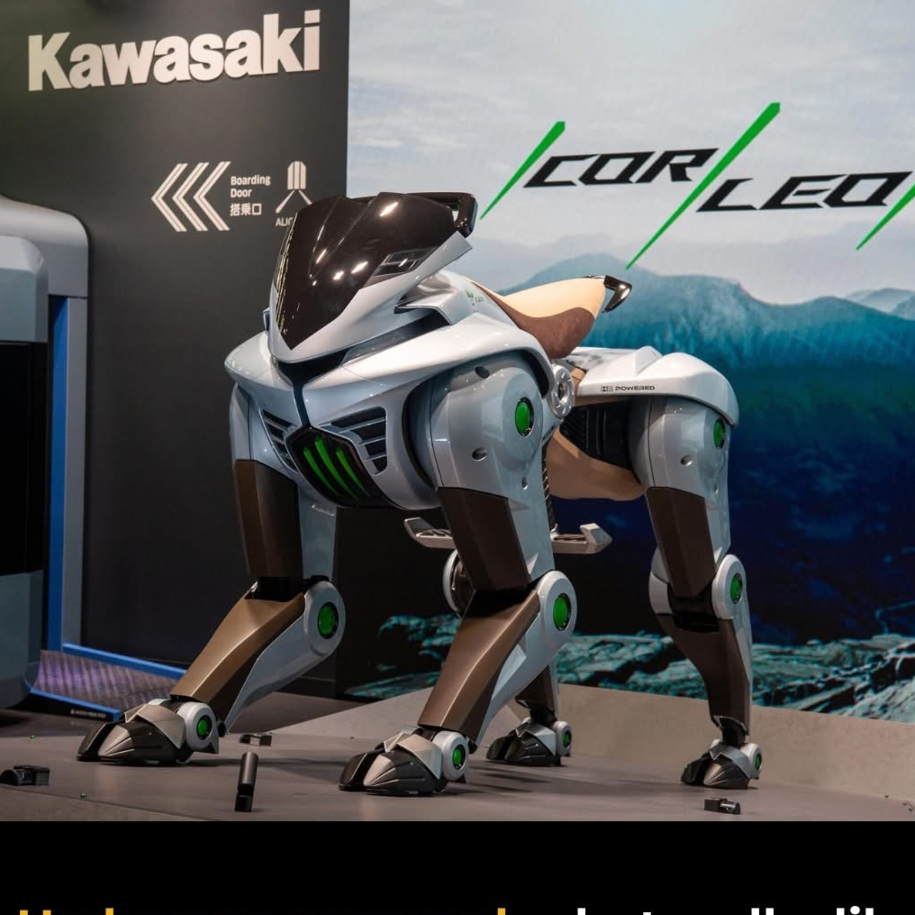# 267 Divoká mačka a skrotenie Kawasaki CORLEO: odhalené !