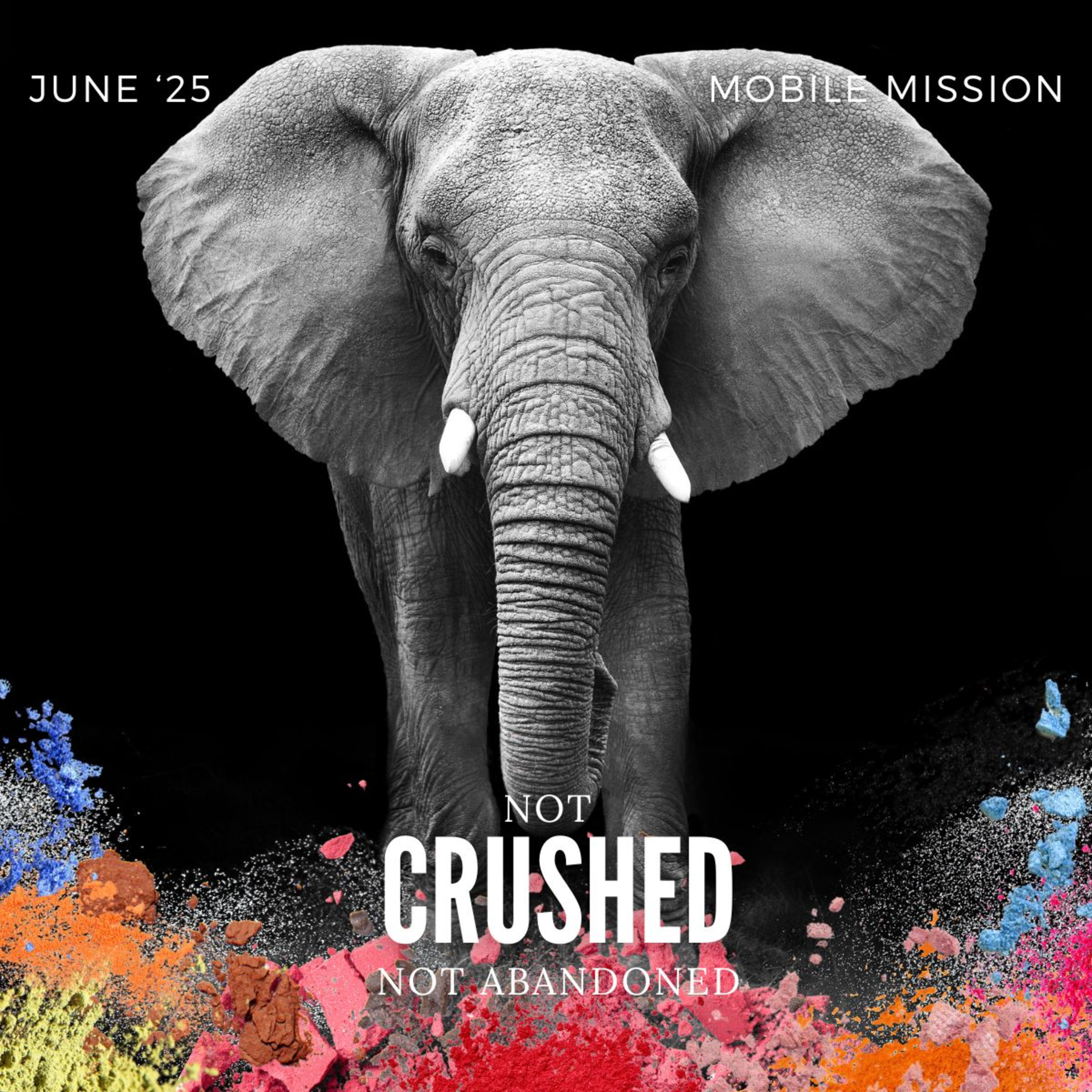 Episode 66: Not Crushed, Not Abandoned