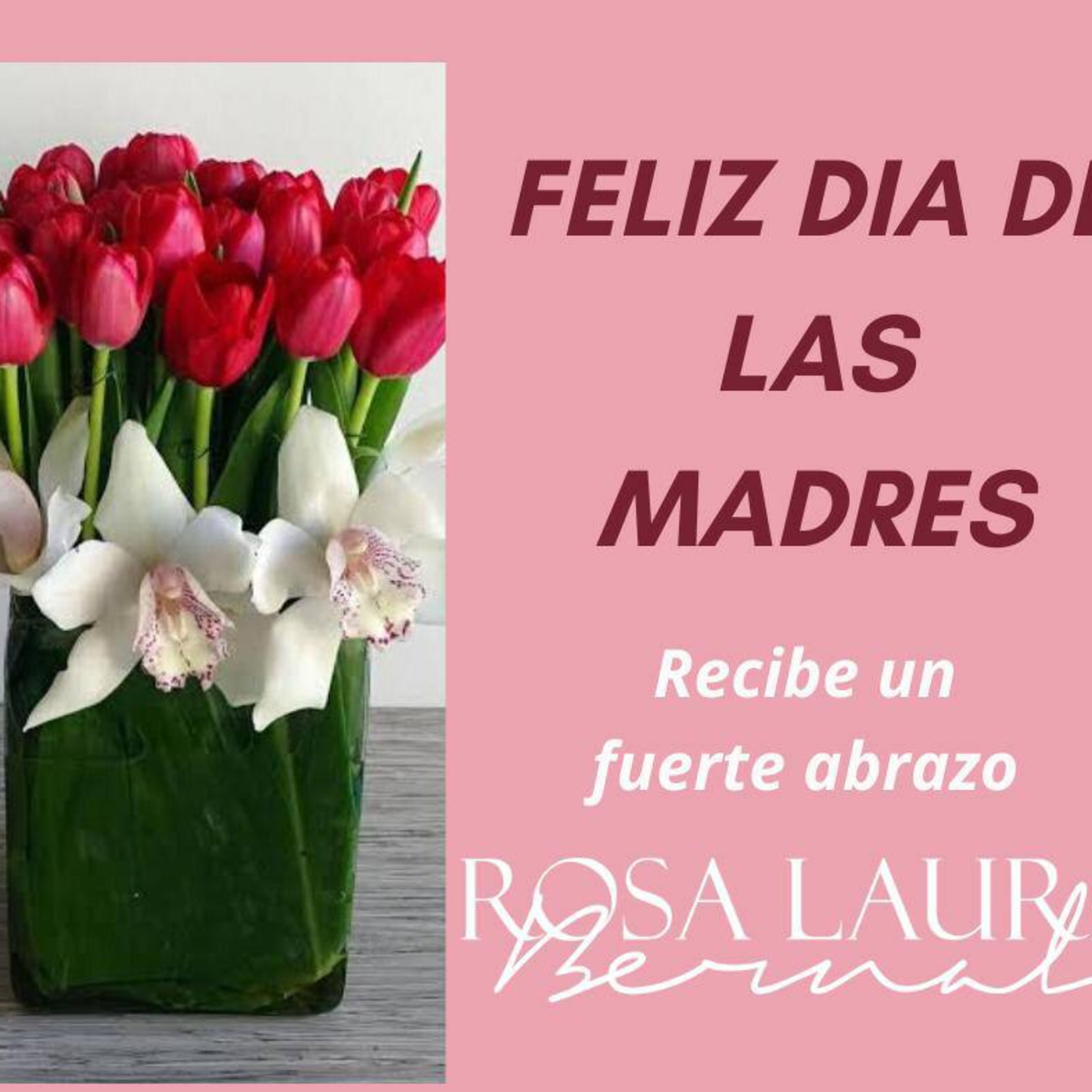 Transformación Mental con Rosa Laura Bernal