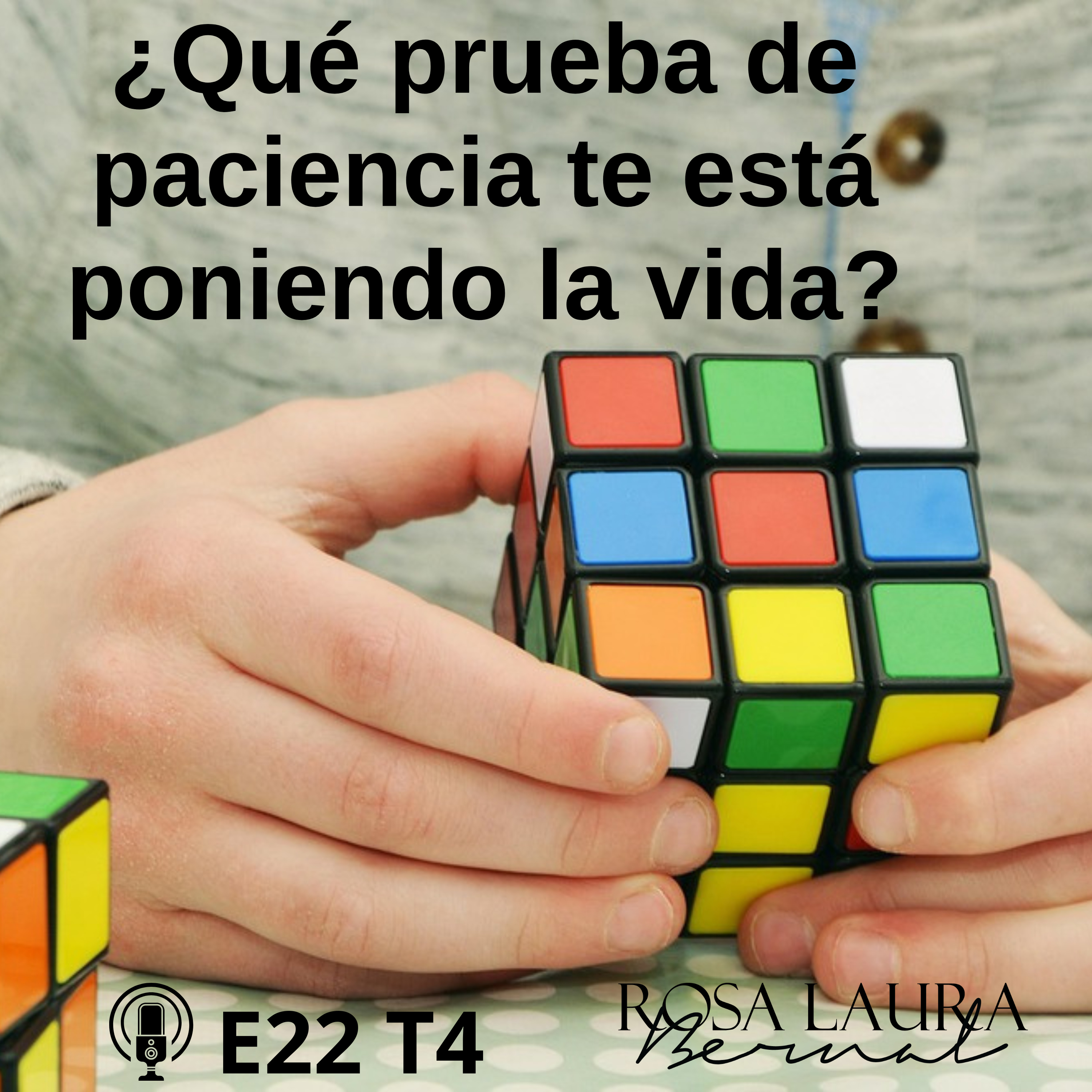 E22 T4/208 ¿Qué prueba de paciencia te está poniendo la vida?