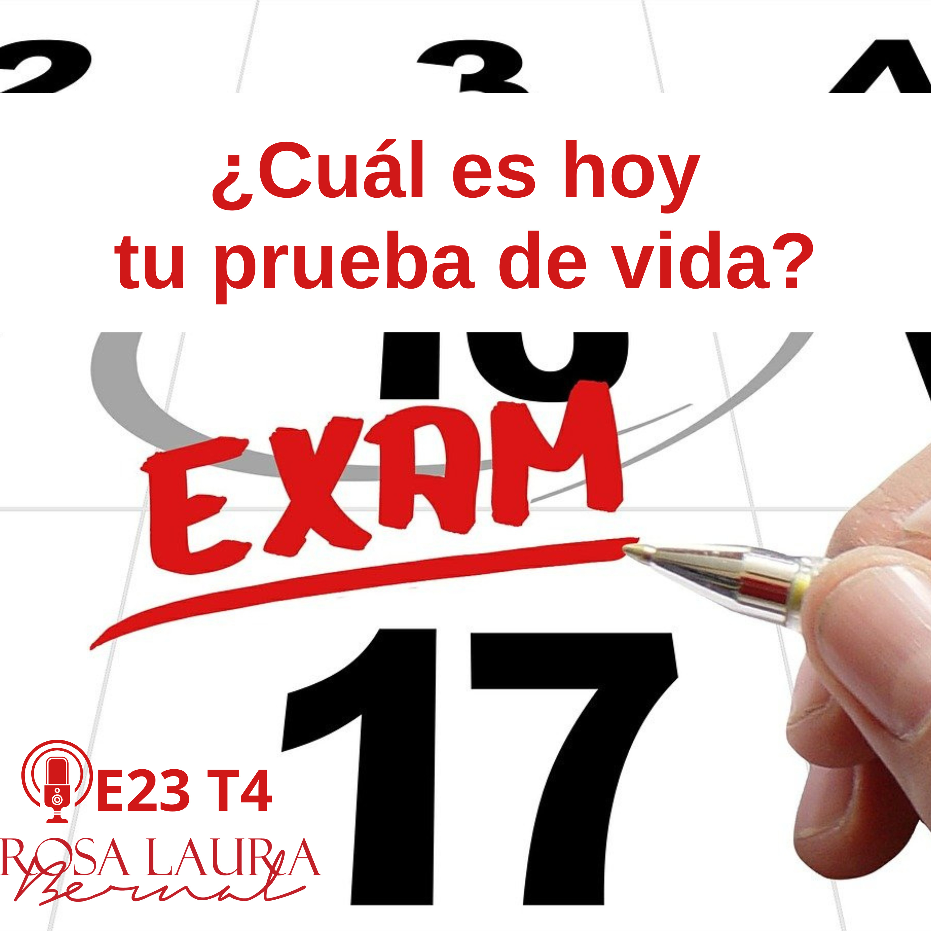 E23 T4/ 209 ¿Cuál es hoy tu prueba de vida? episode artwork