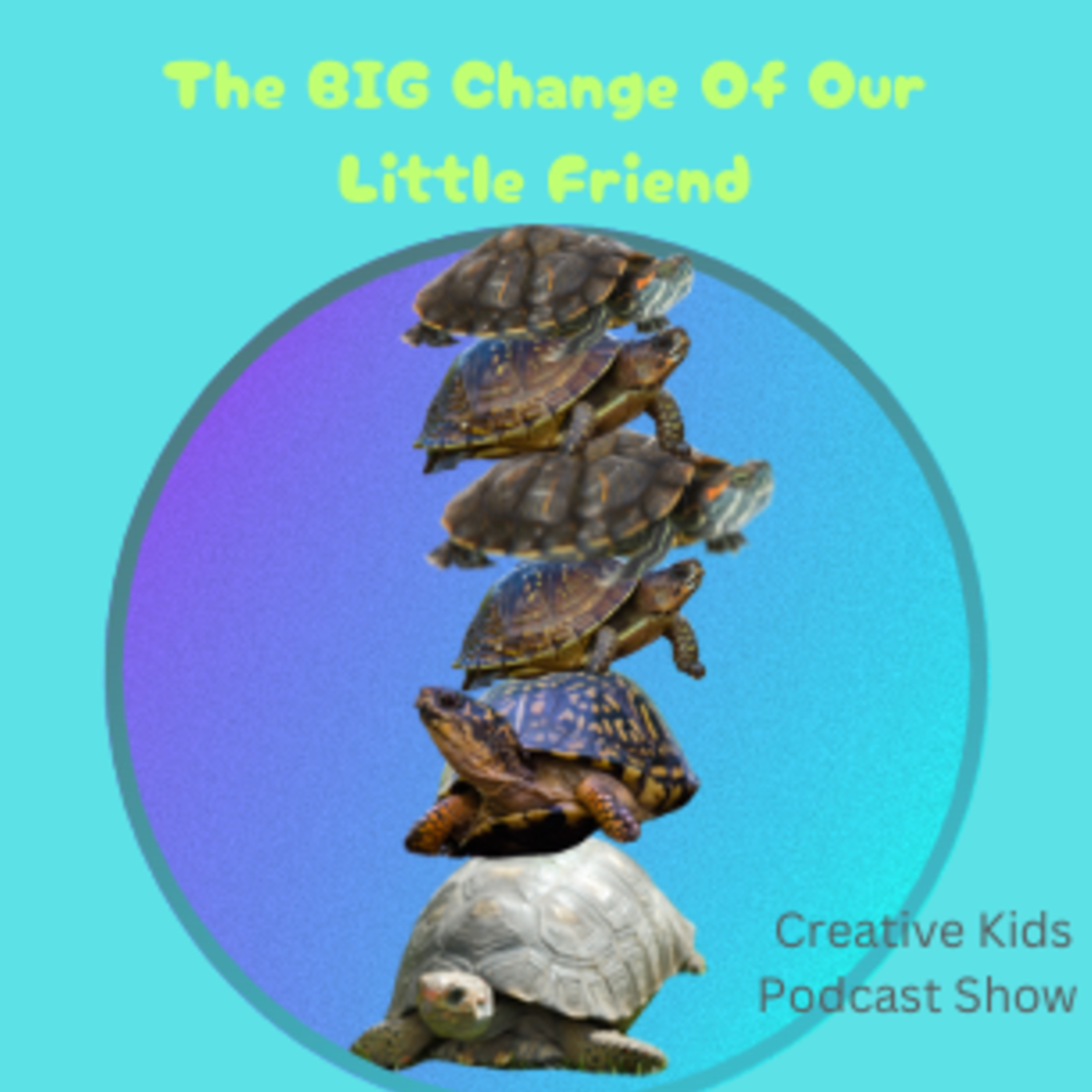 62: The BIG Change of Our Little Friend the Turtle episode artwork